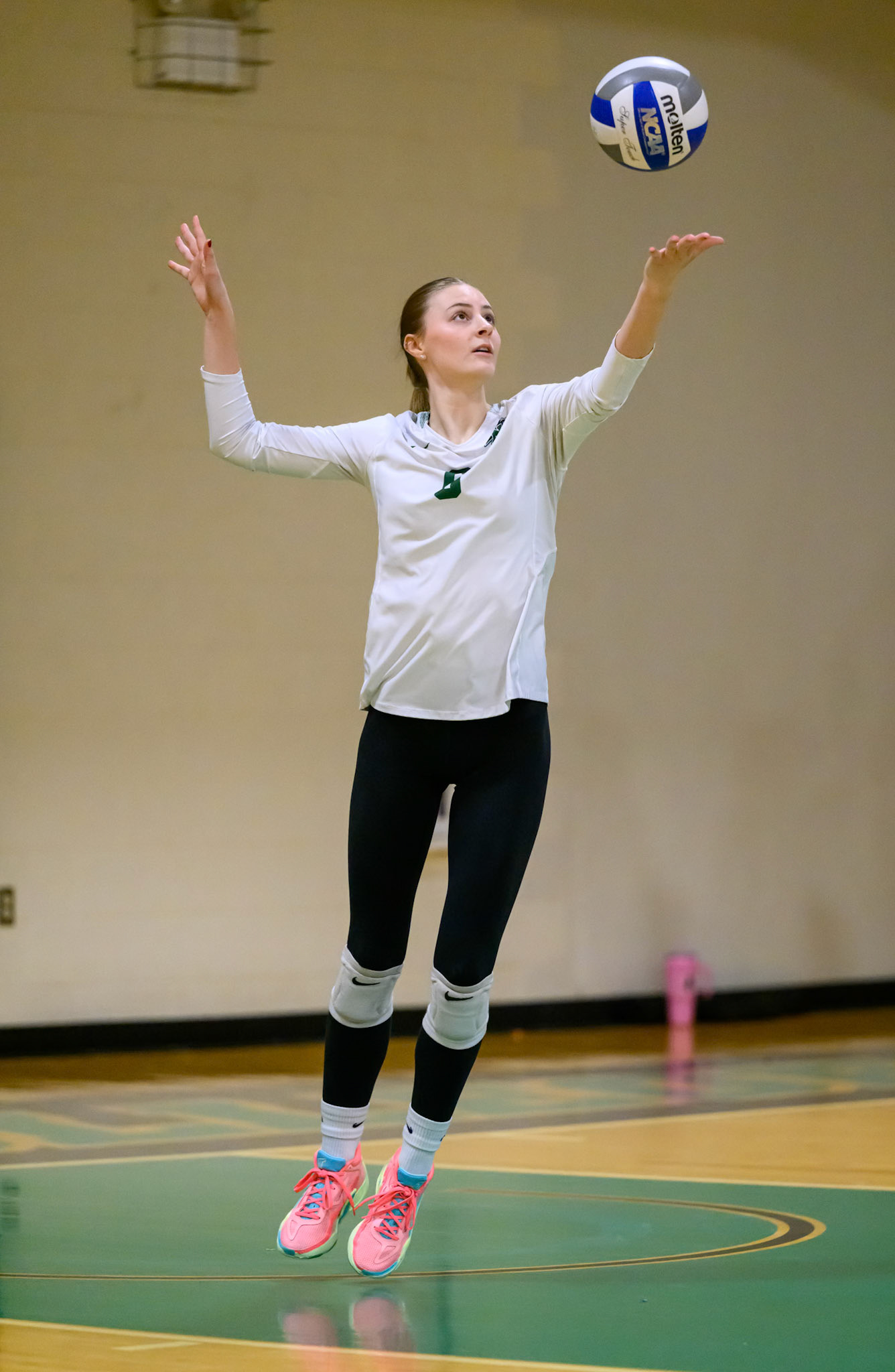 Nichols Volleyball