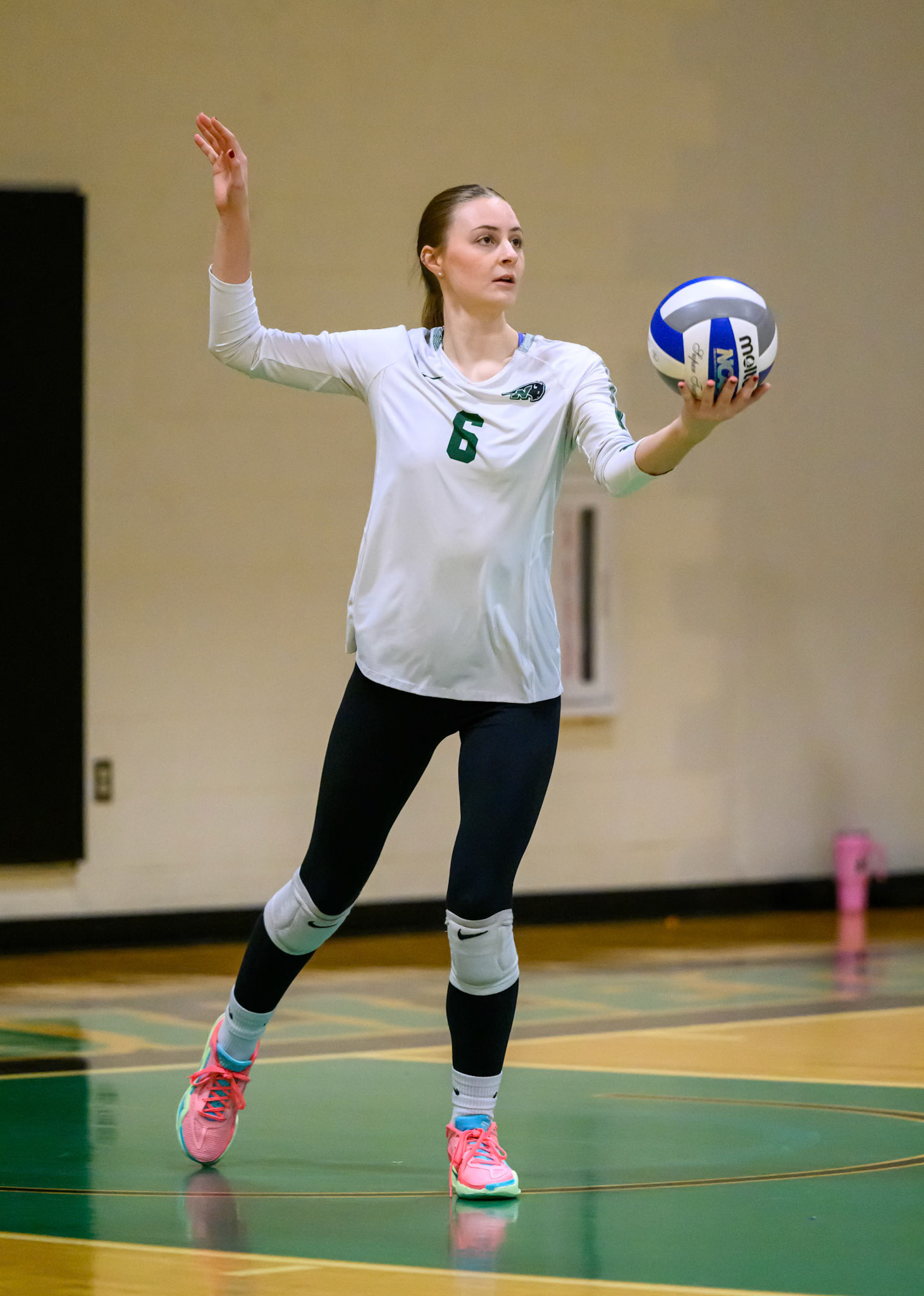 Nichols Volleyball