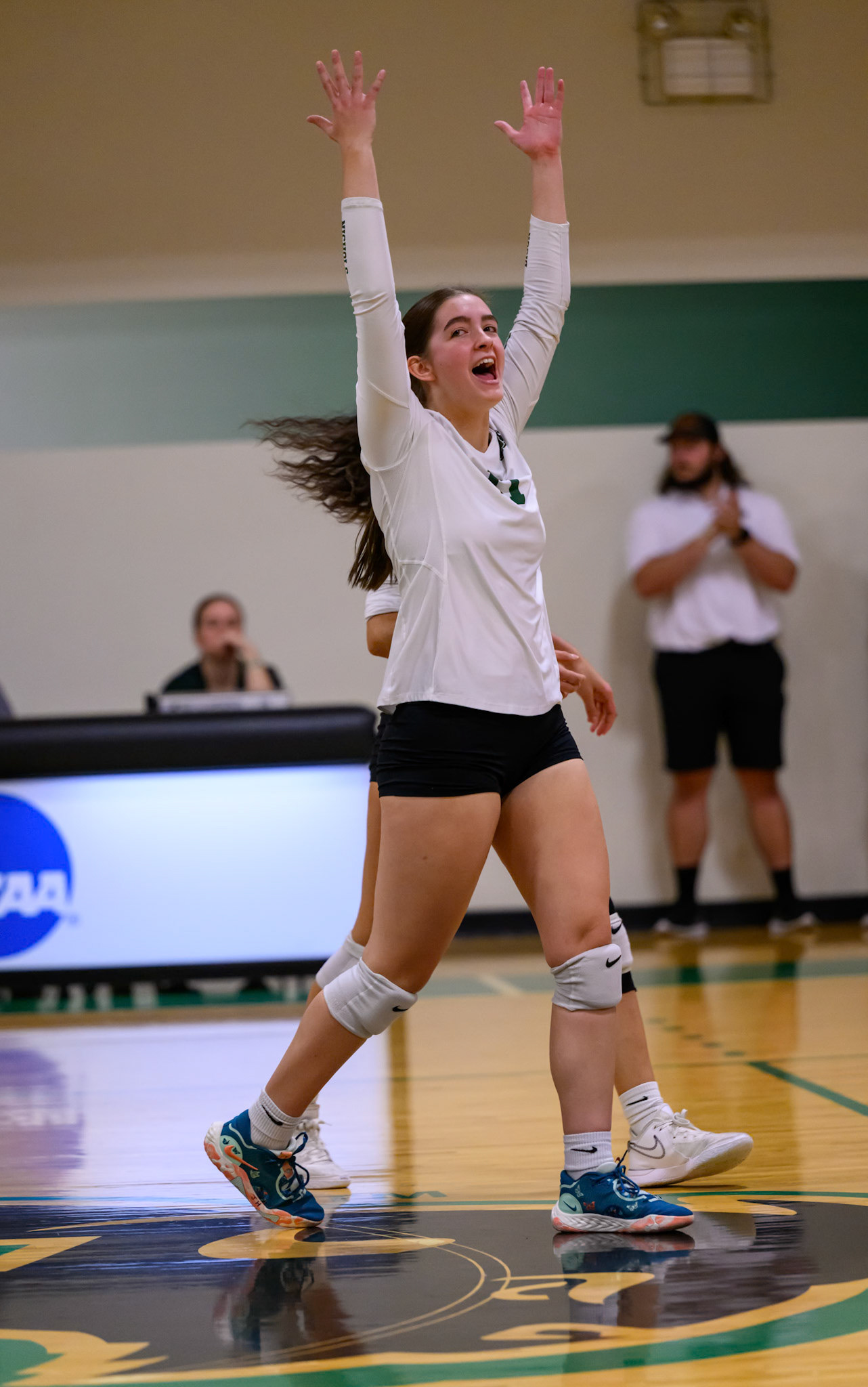 Nichols Volleyball