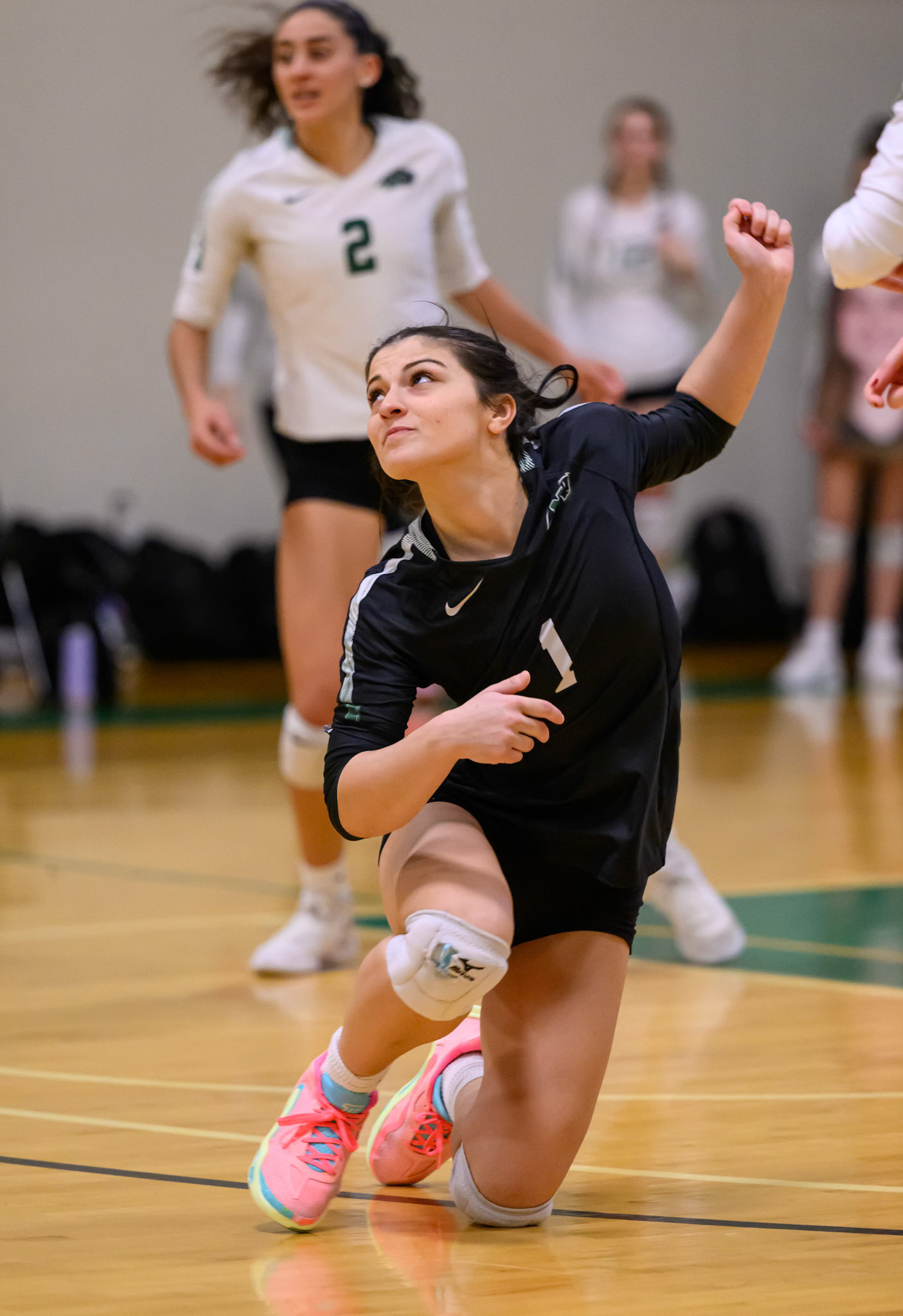 Nichols Volleyball