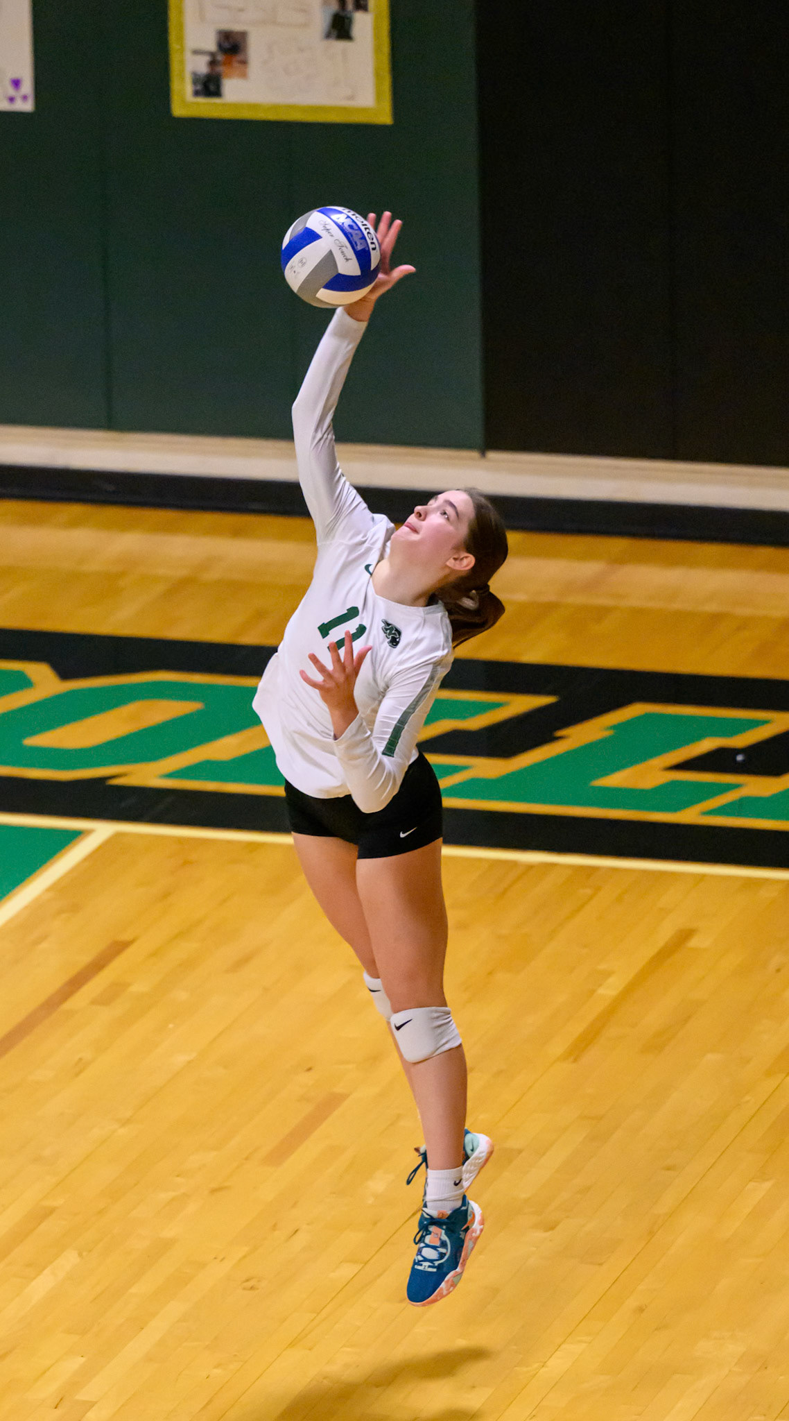 Nichols Volleyball