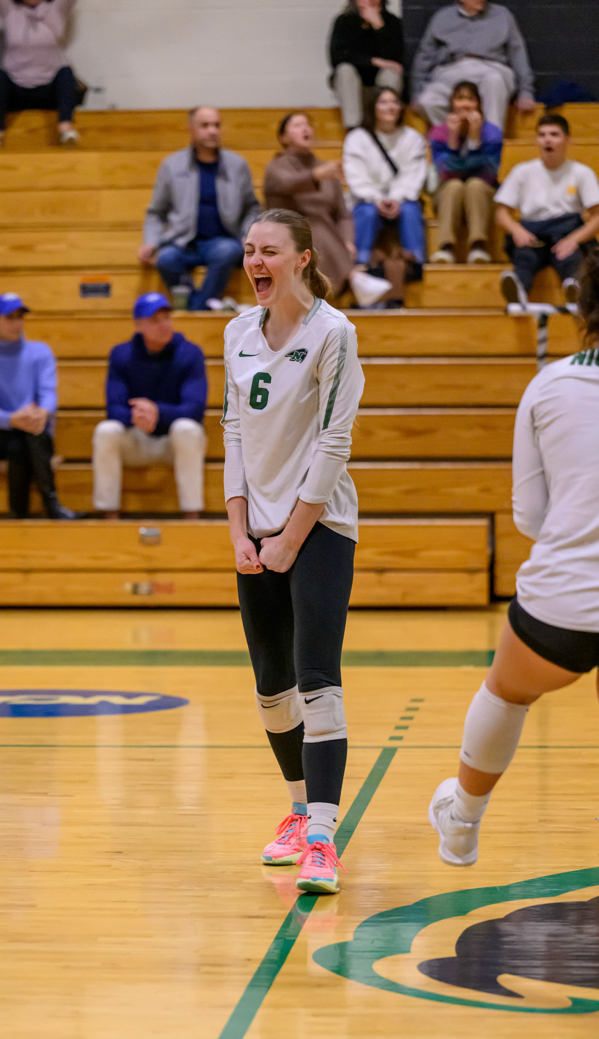 Nichols Volleyball
