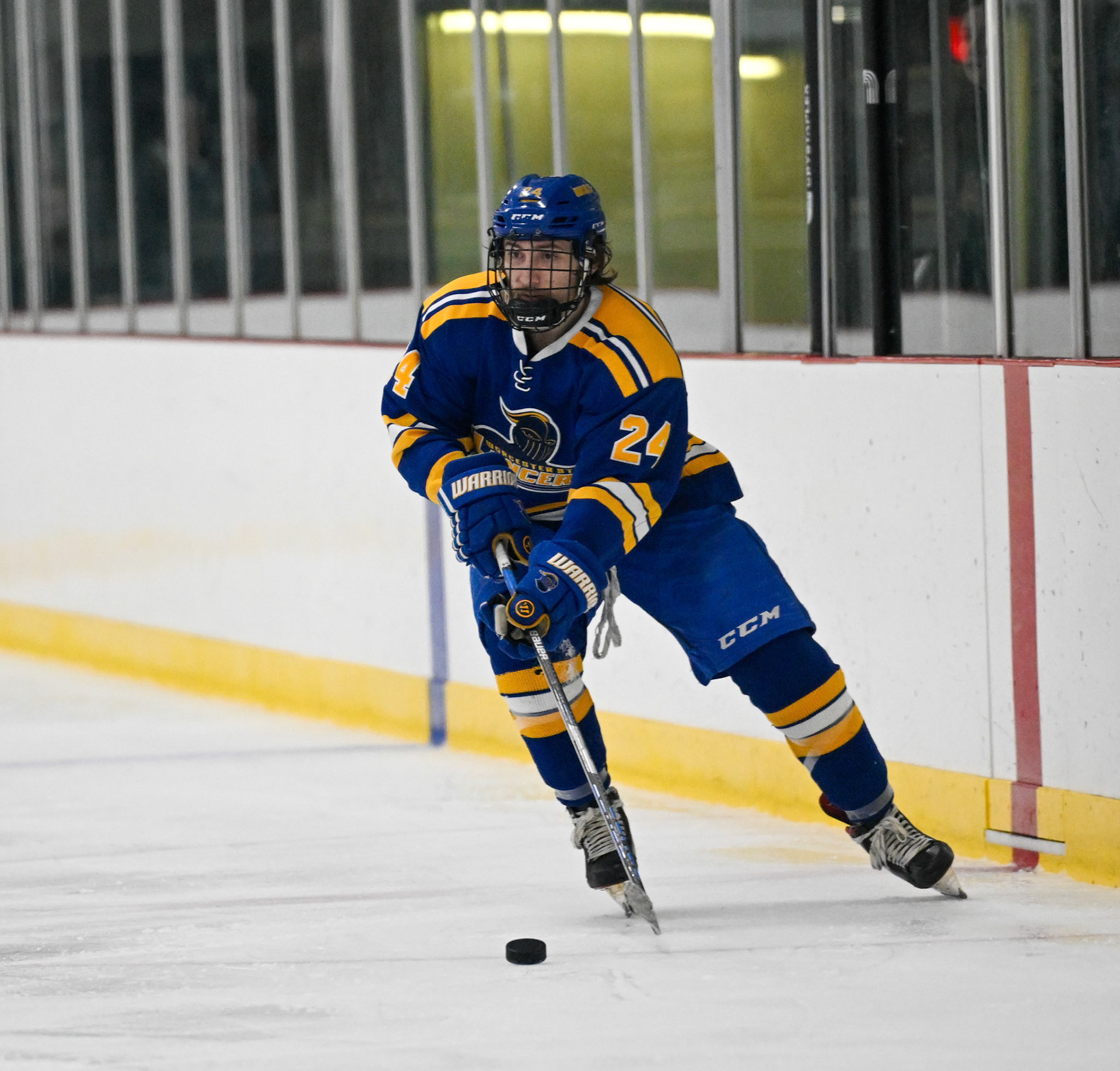 WSU Men's Ice Hockey