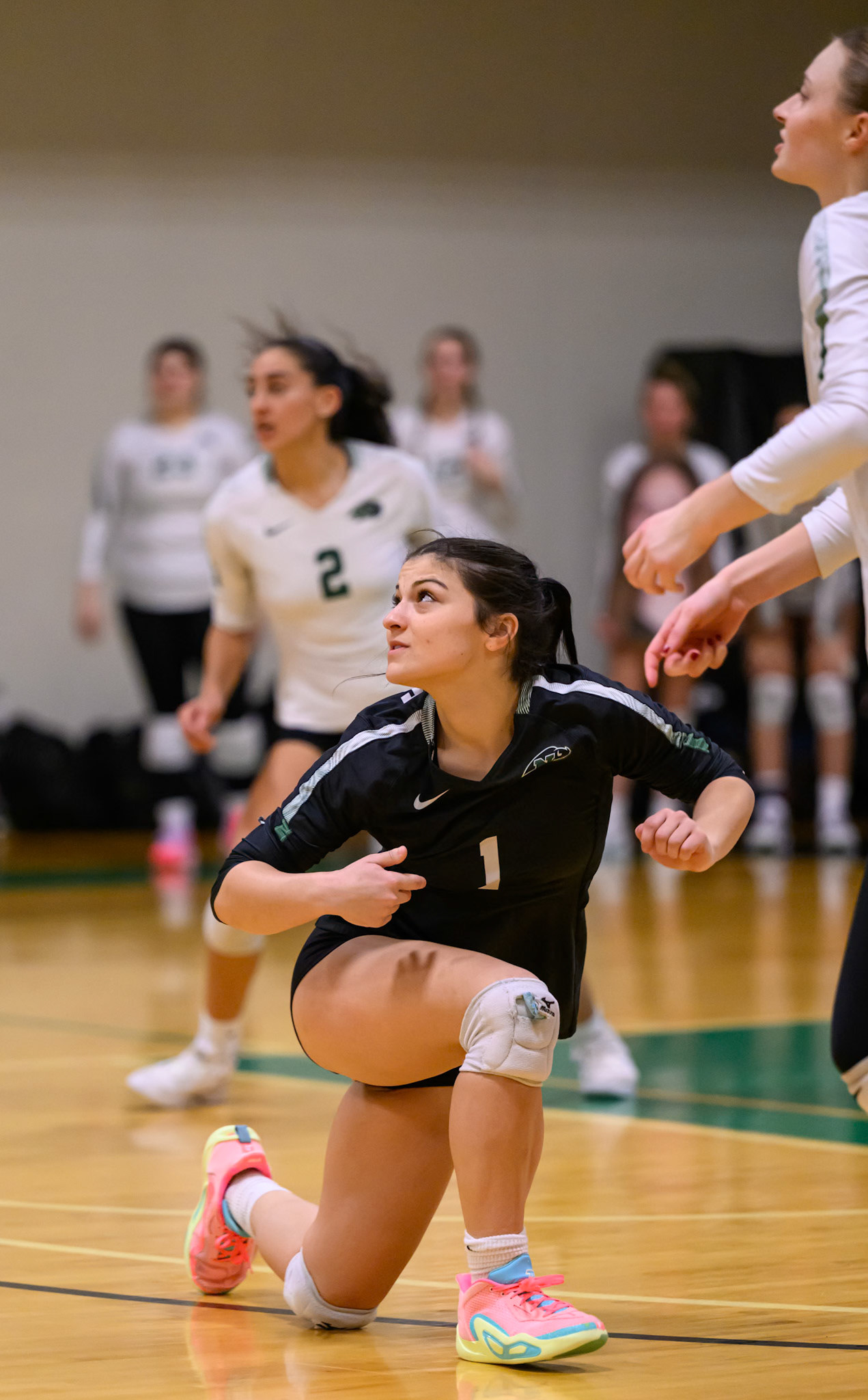 Nichols Volleyball