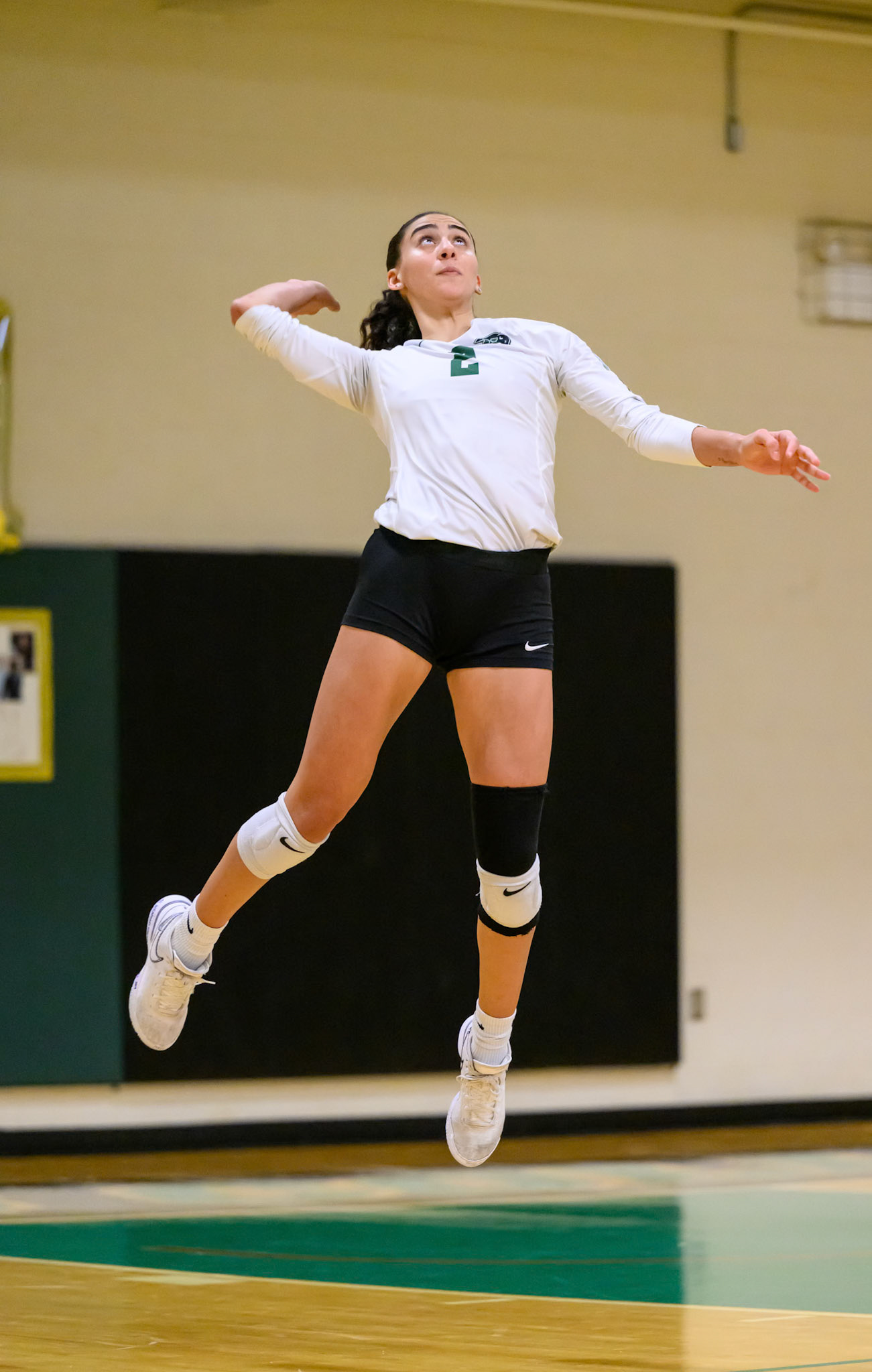 Nichols Volleyball