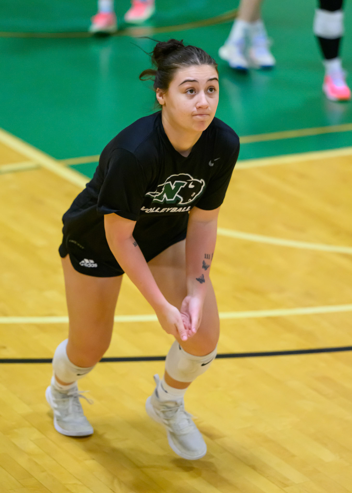 Nichols Volleyball