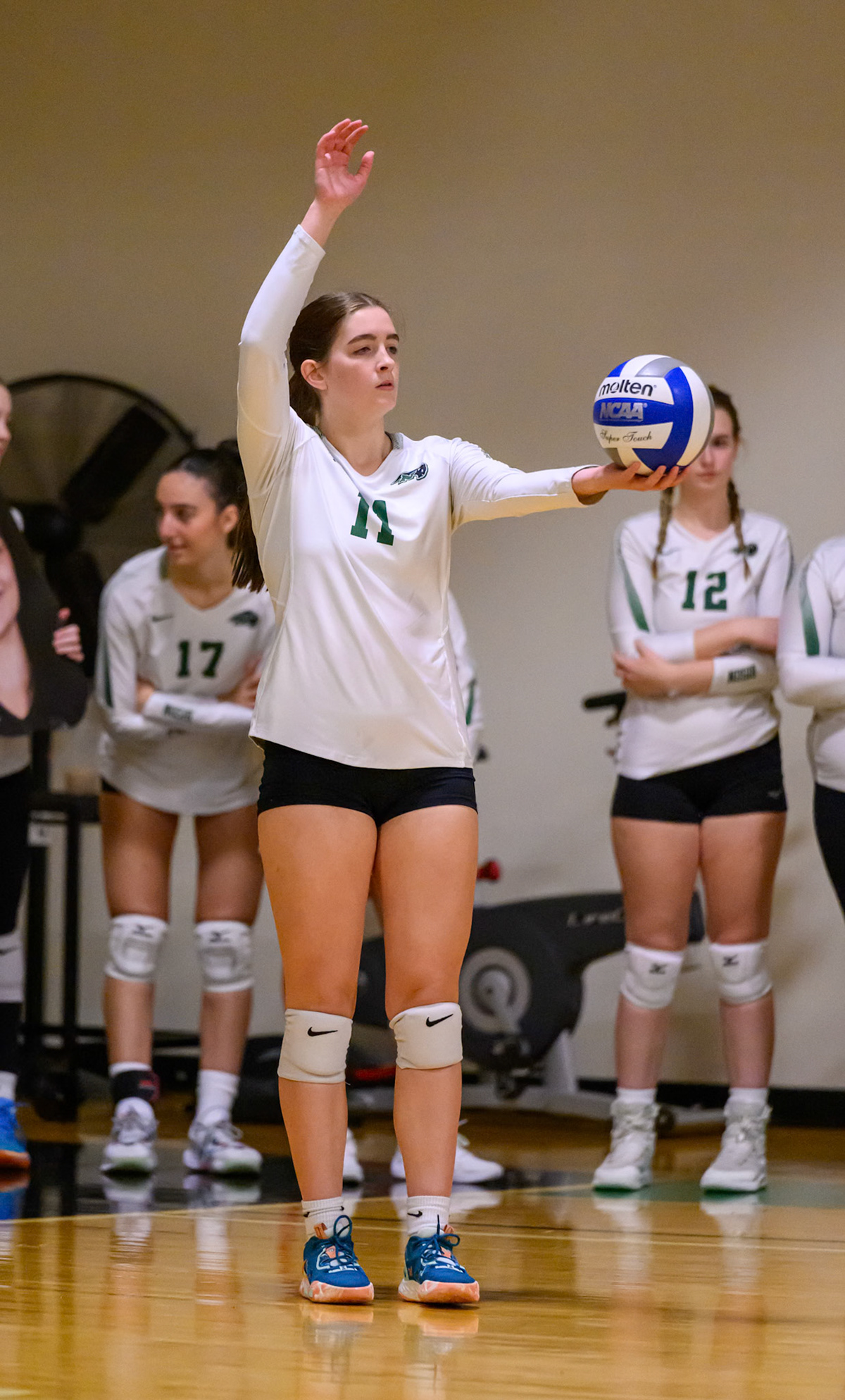 Nichols Volleyball