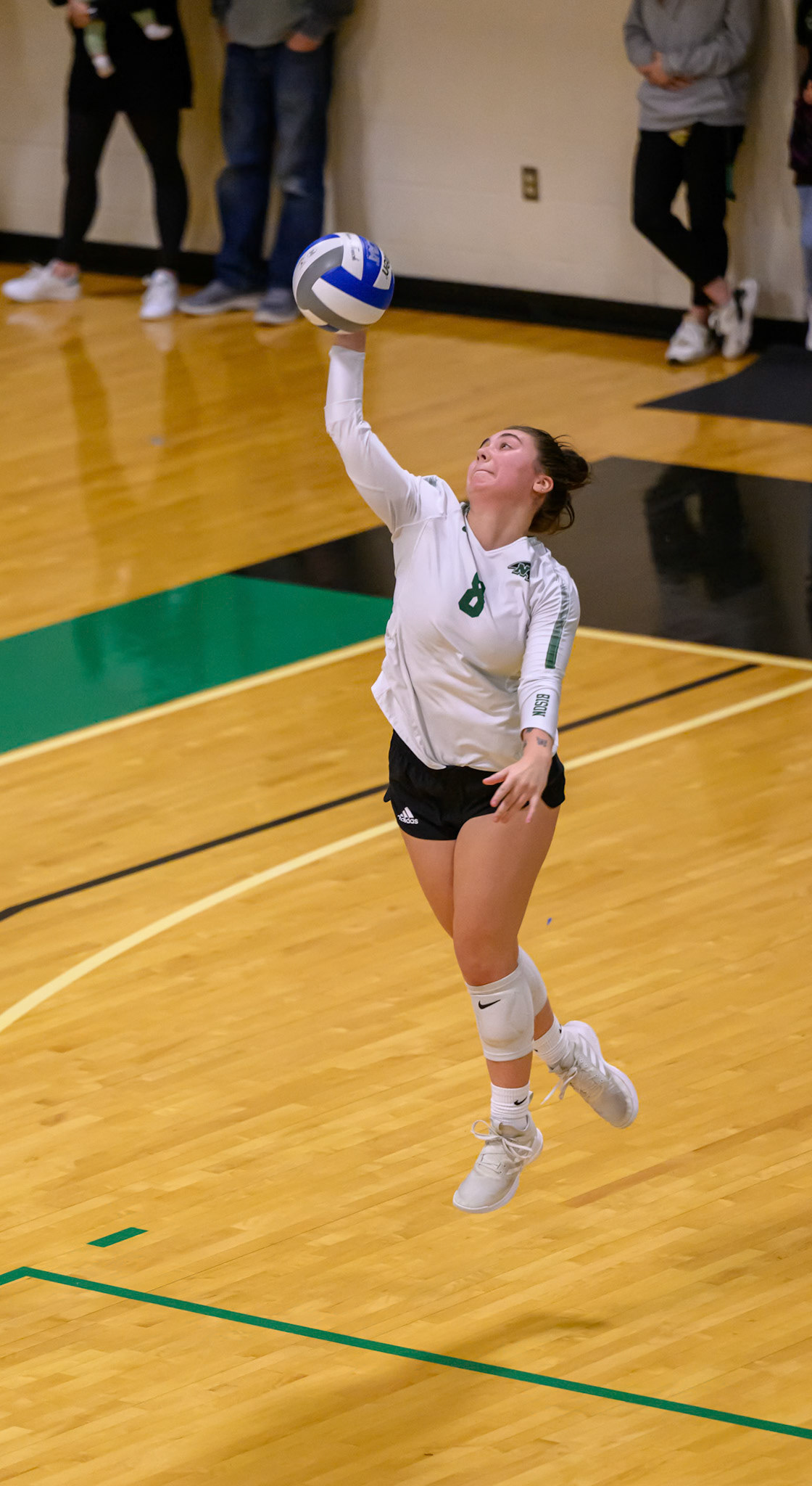 Nichols Volleyball