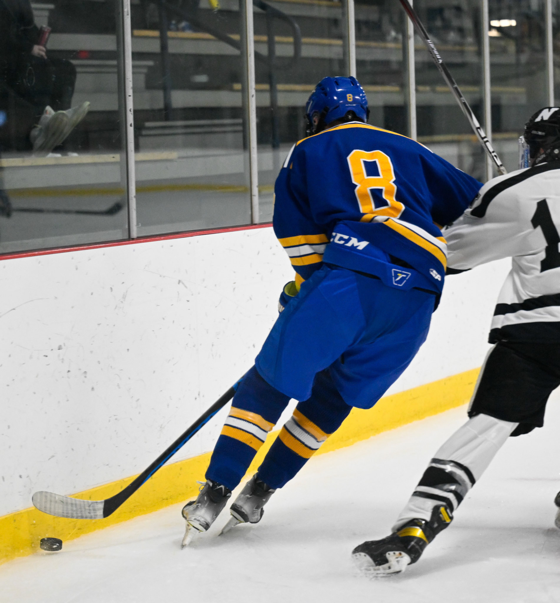 WSU Men's Ice Hockey