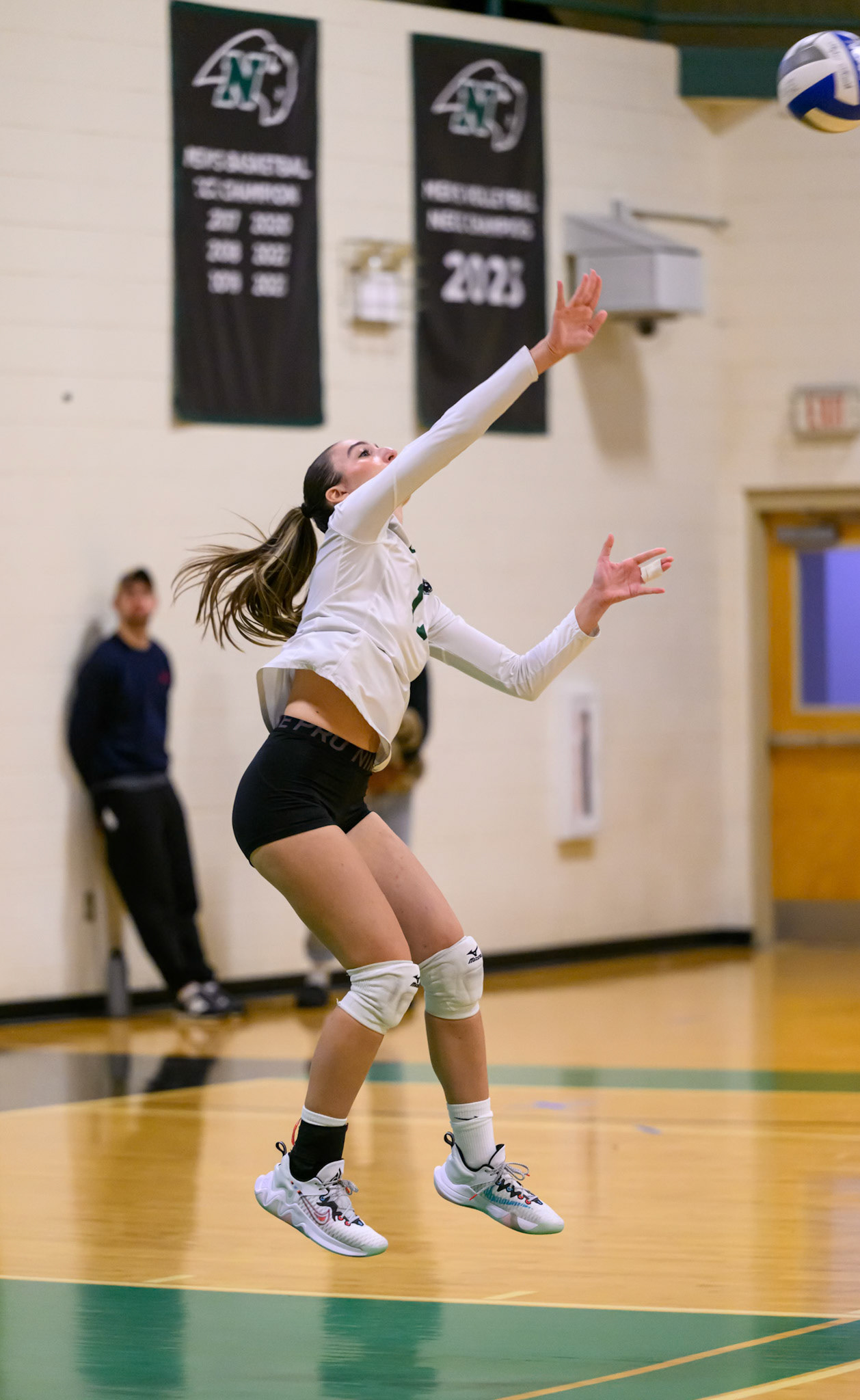 Nichols Volleyball