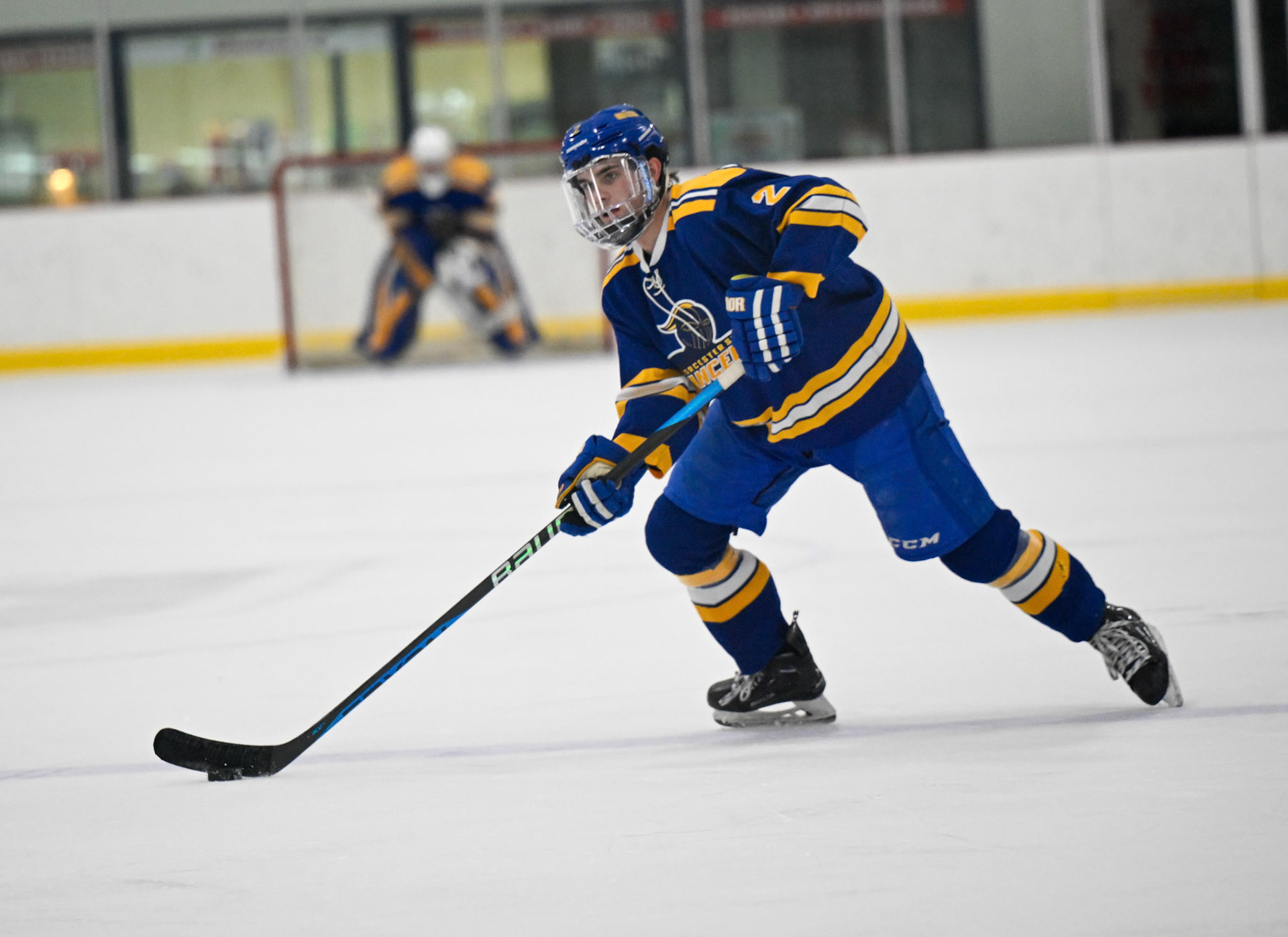 WSU Men's Ice Hockey