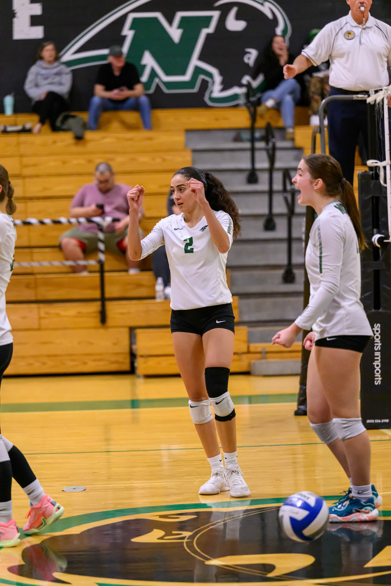 Nichols Volleyball