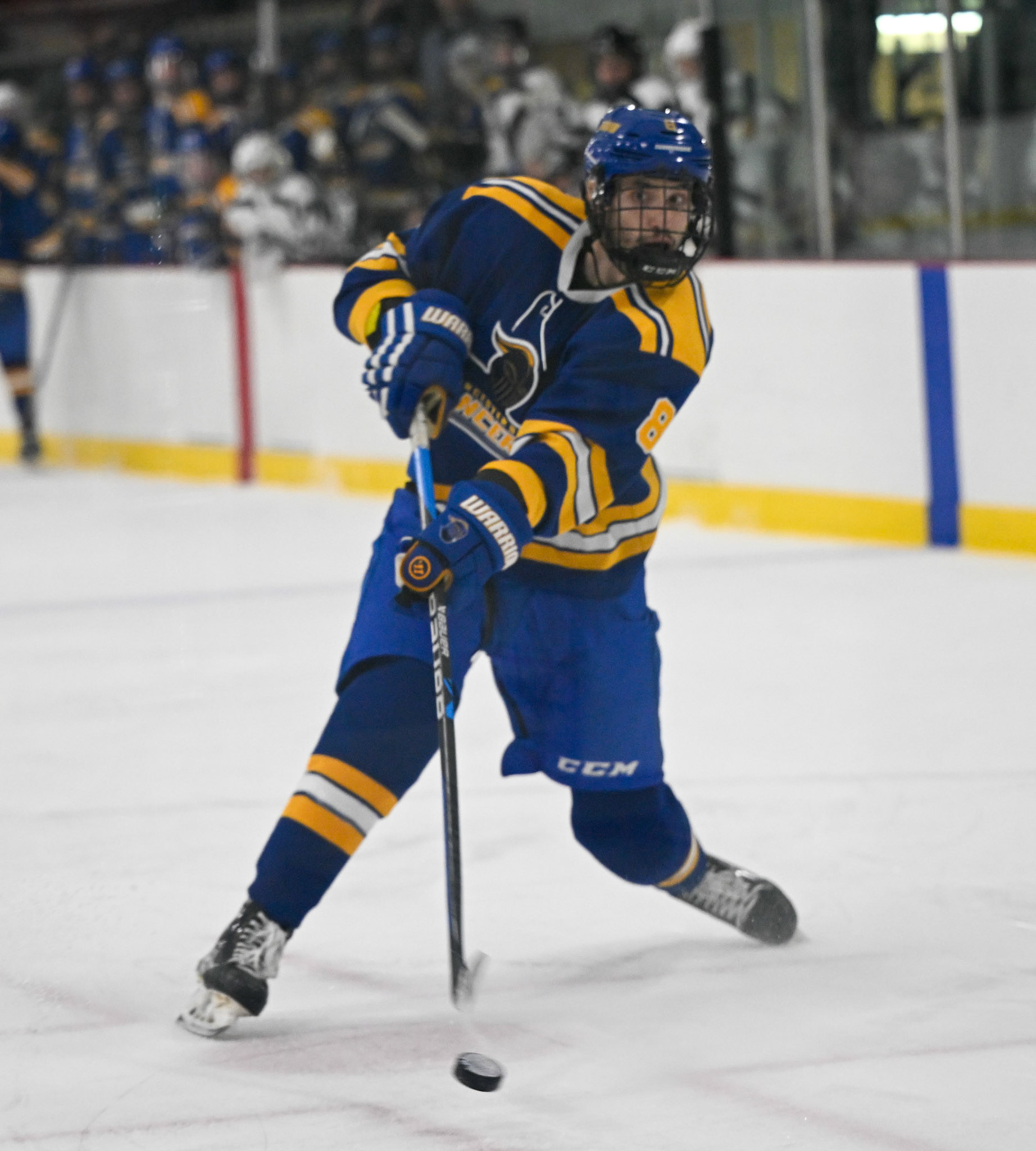 WSU Men's Ice Hockey
