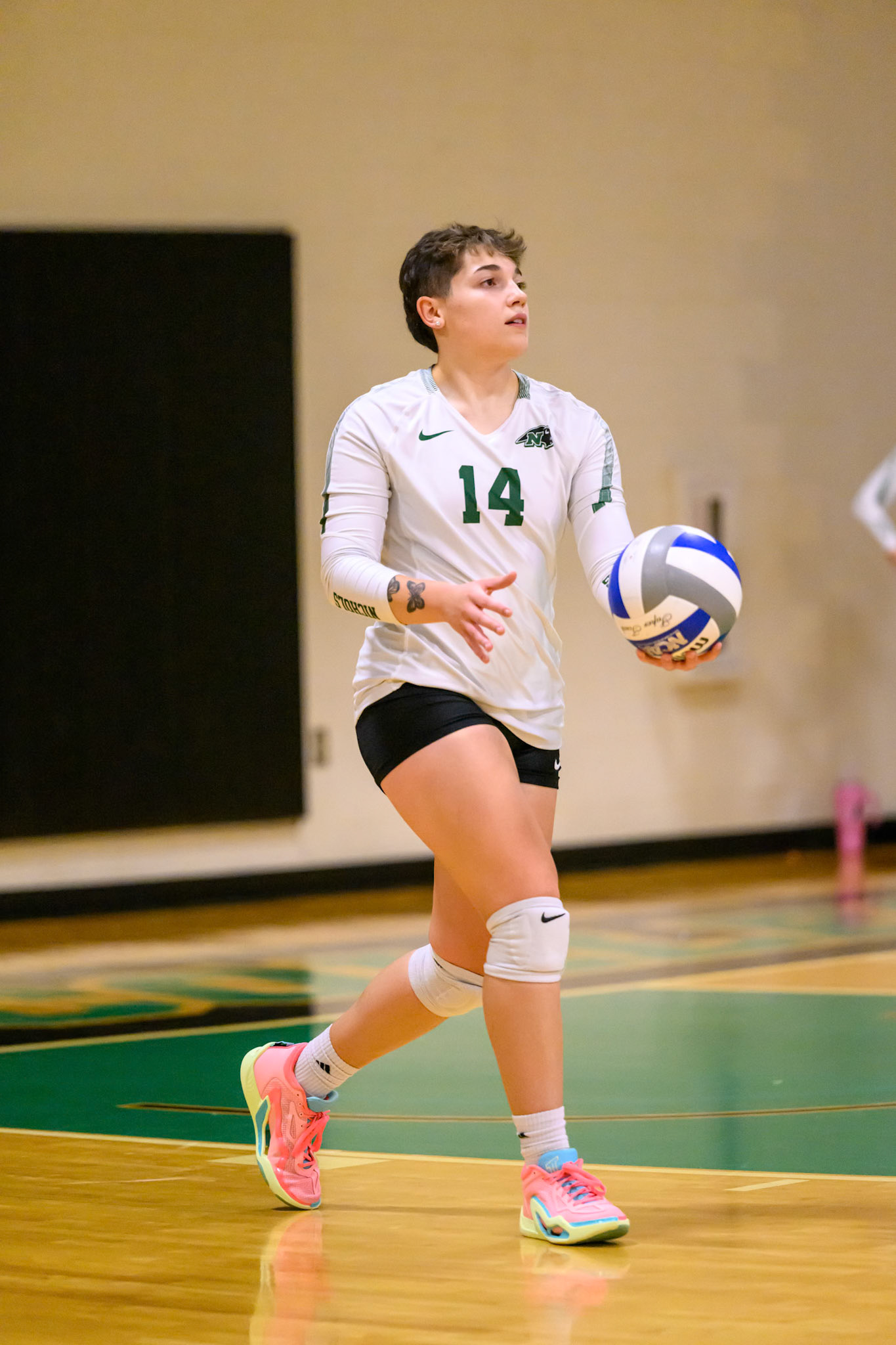 Nichols Volleyball