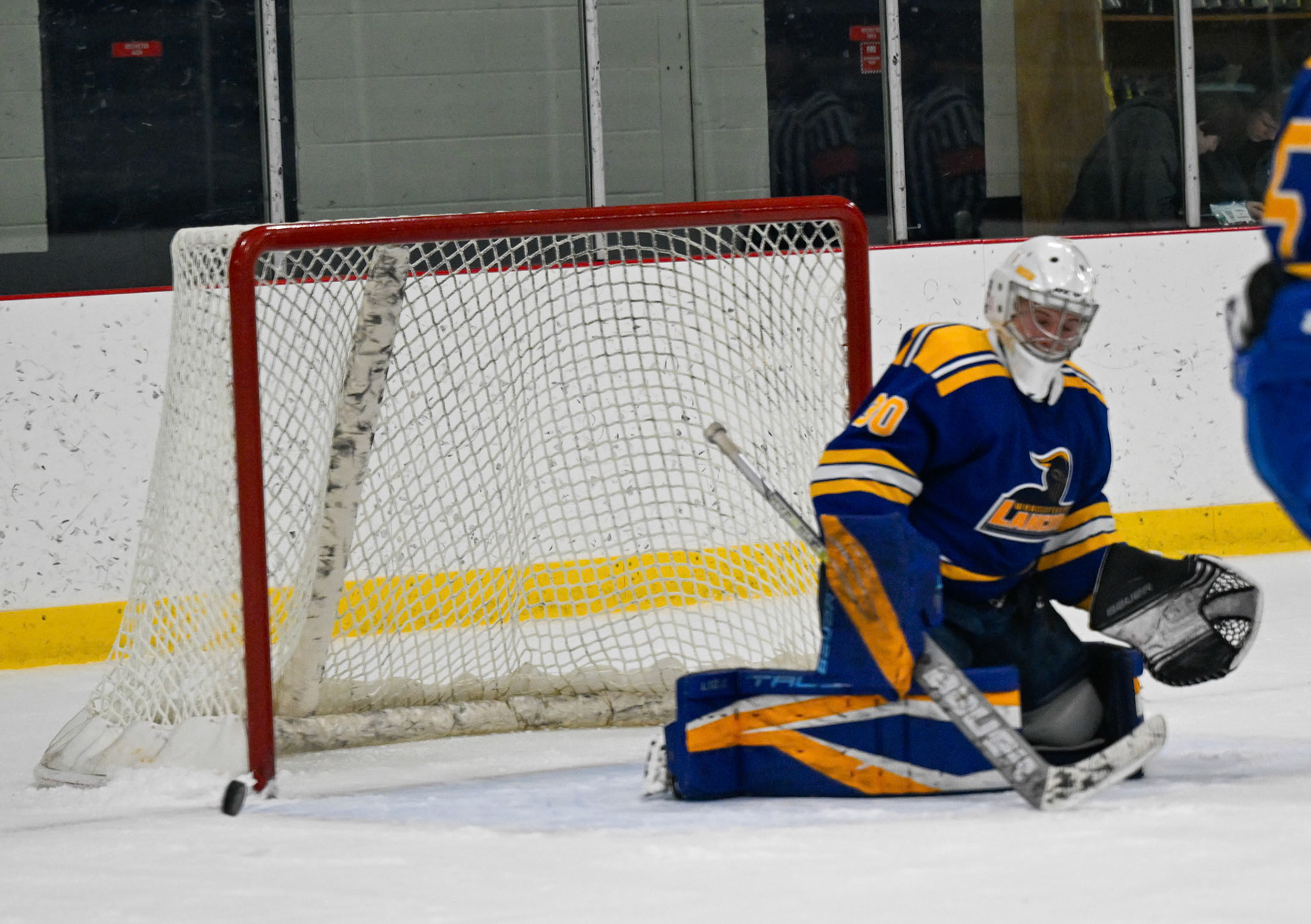 WSU Men's Ice Hockey