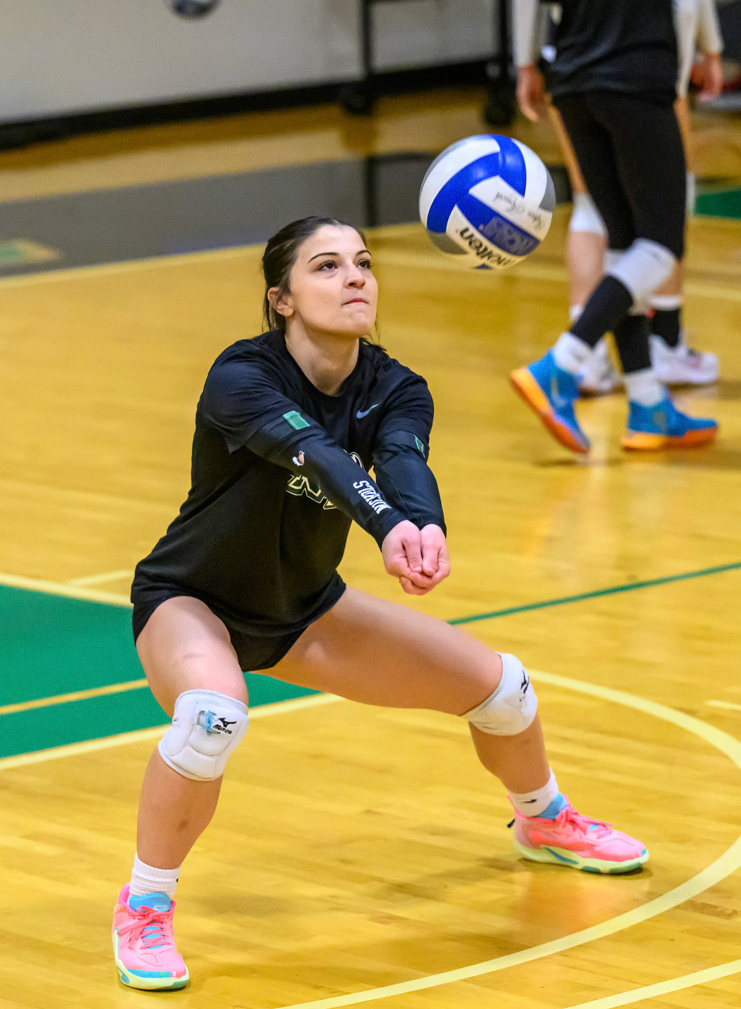 Nichols Volleyball