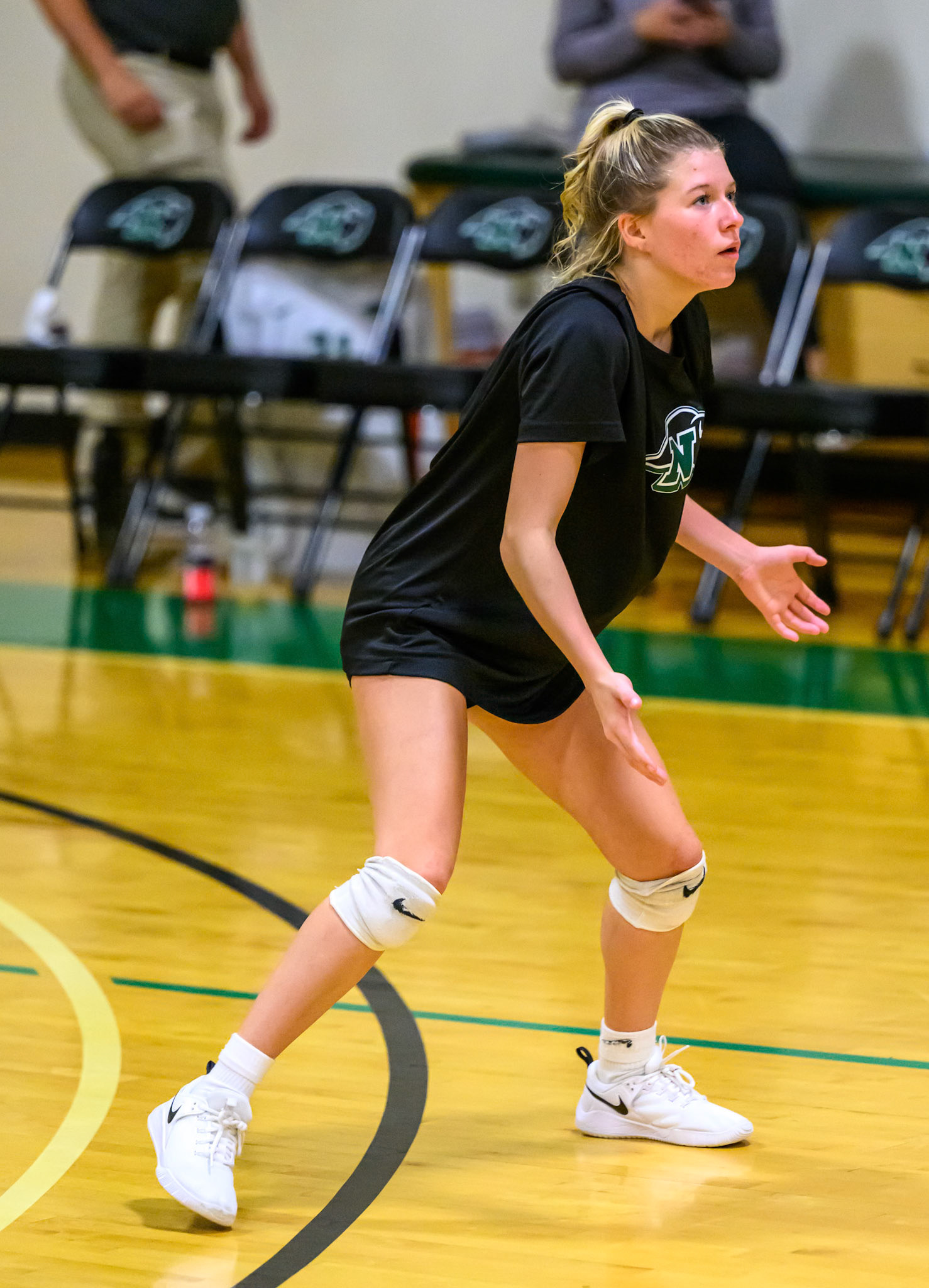 Nichols Volleyball