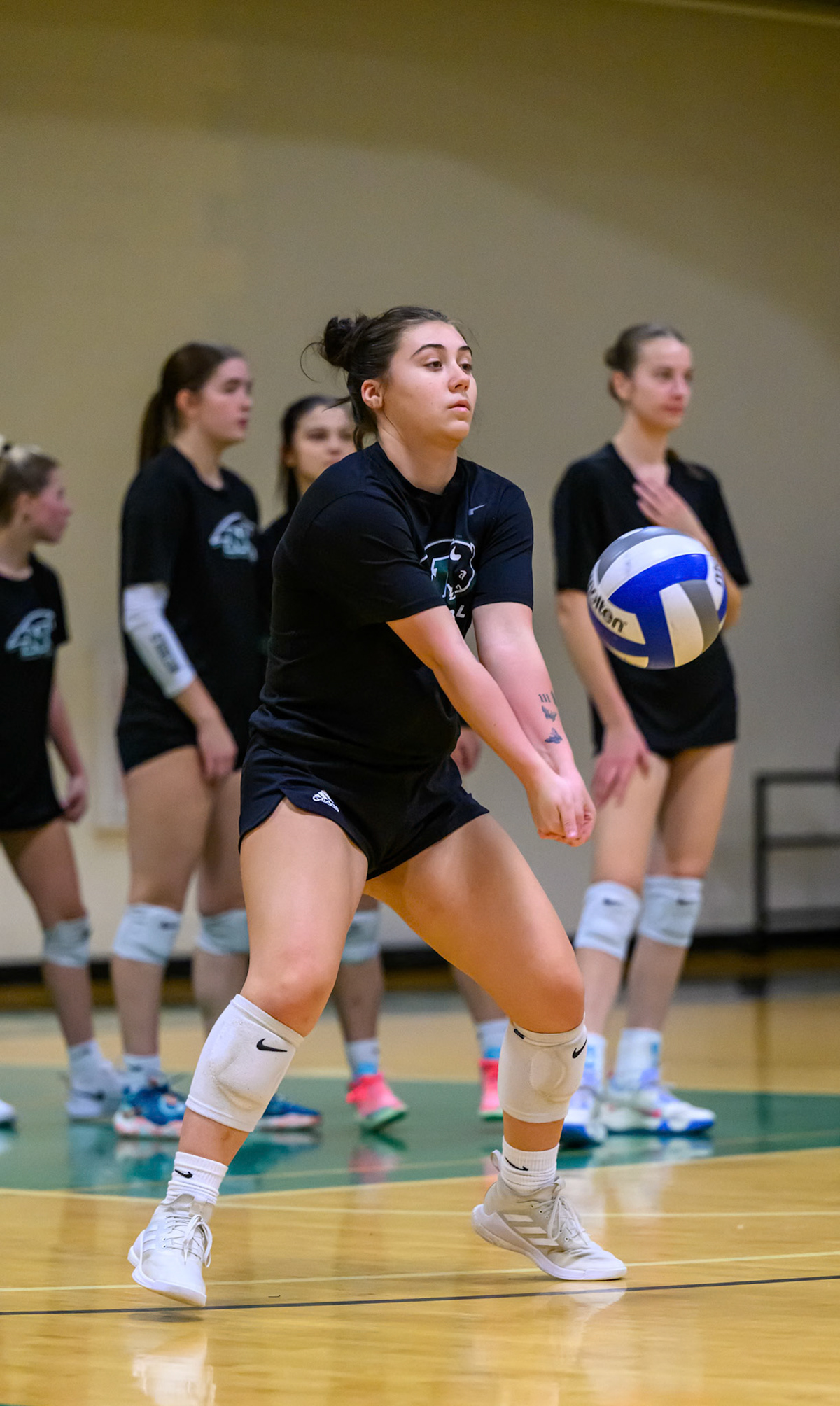 Nichols Volleyball