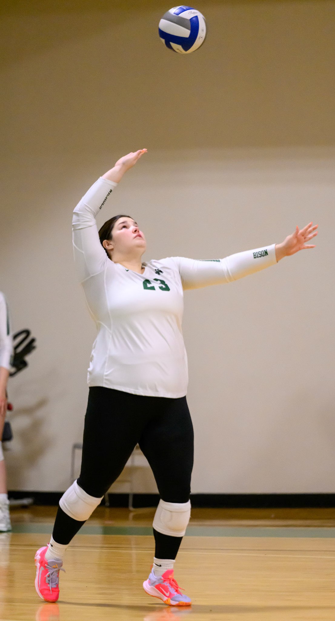Nichols Volleyball