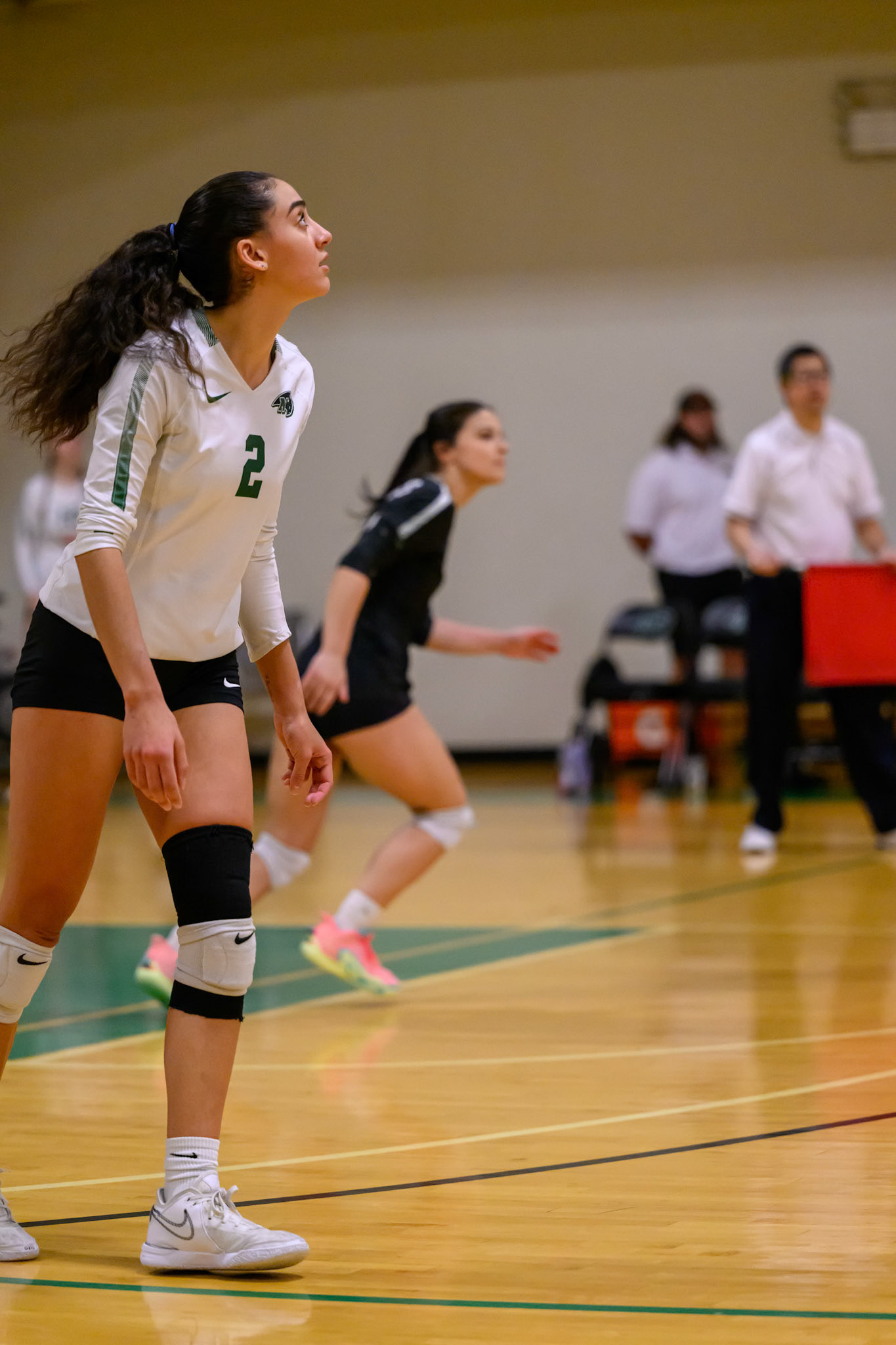 Nichols Volleyball