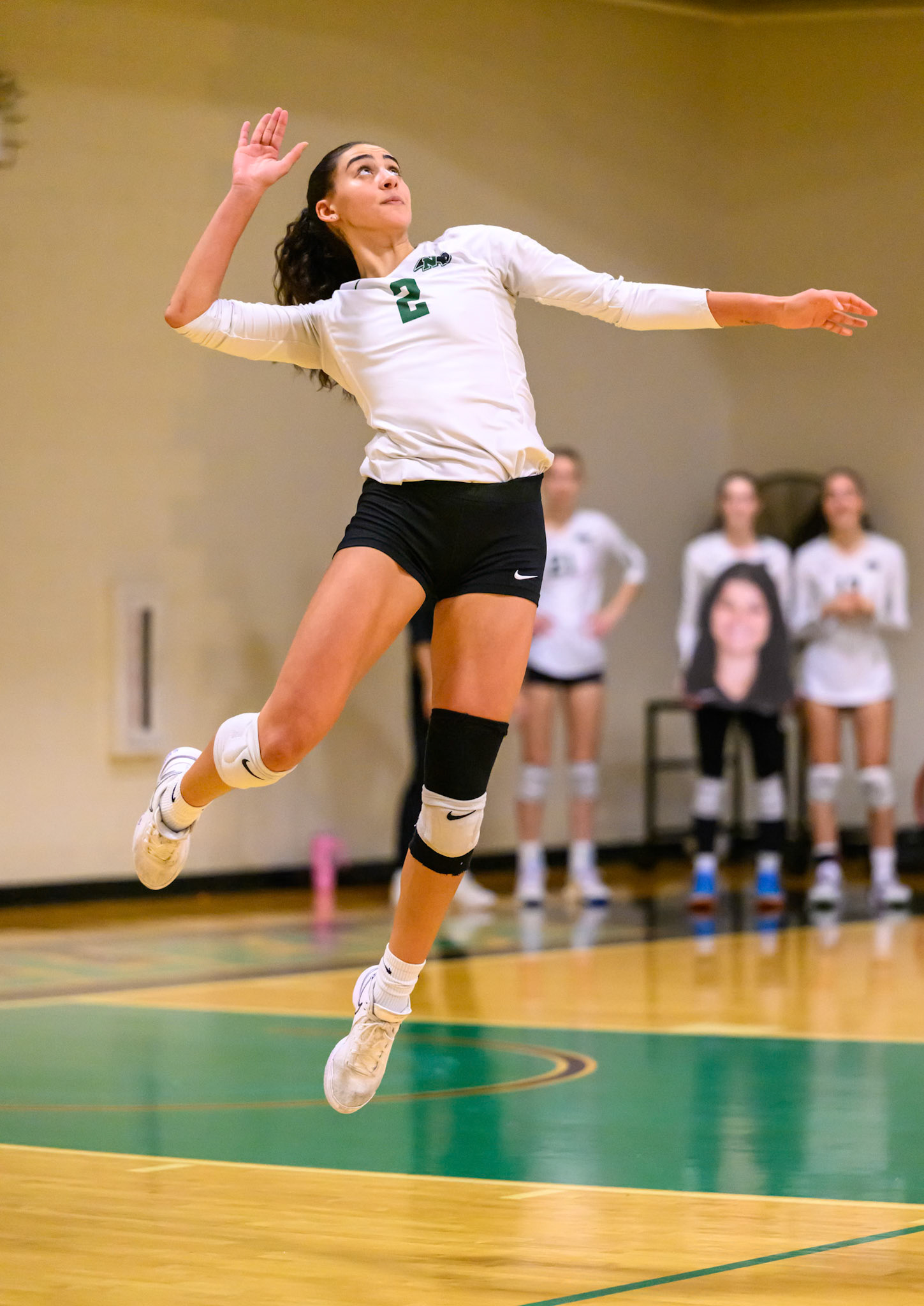 Nichols Volleyball