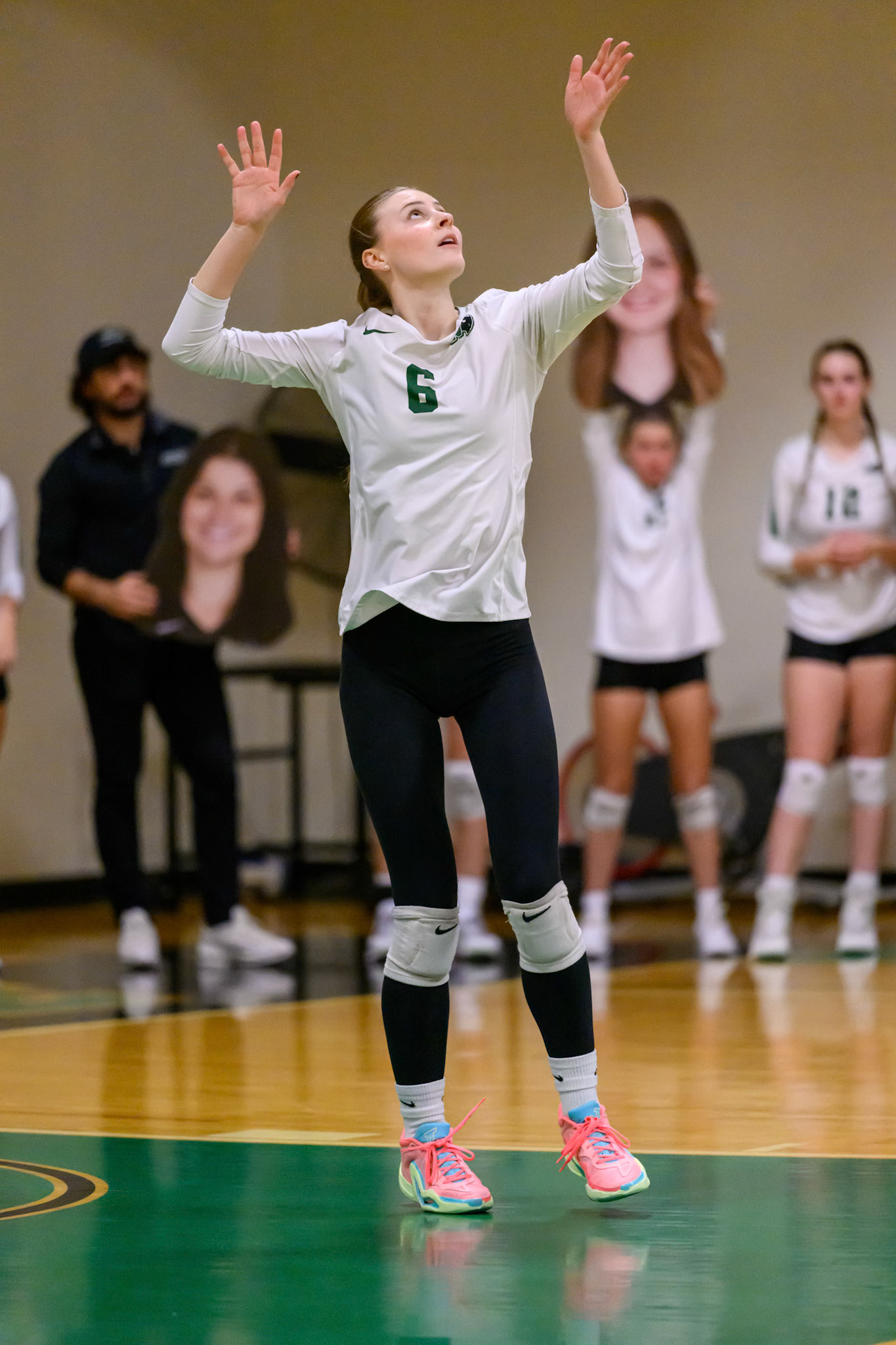 Nichols Volleyball