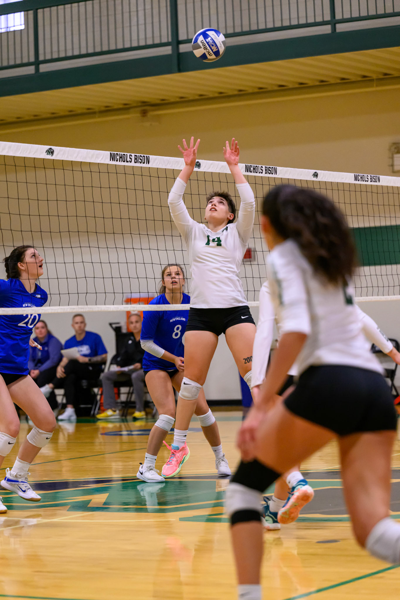 Nichols Volleyball