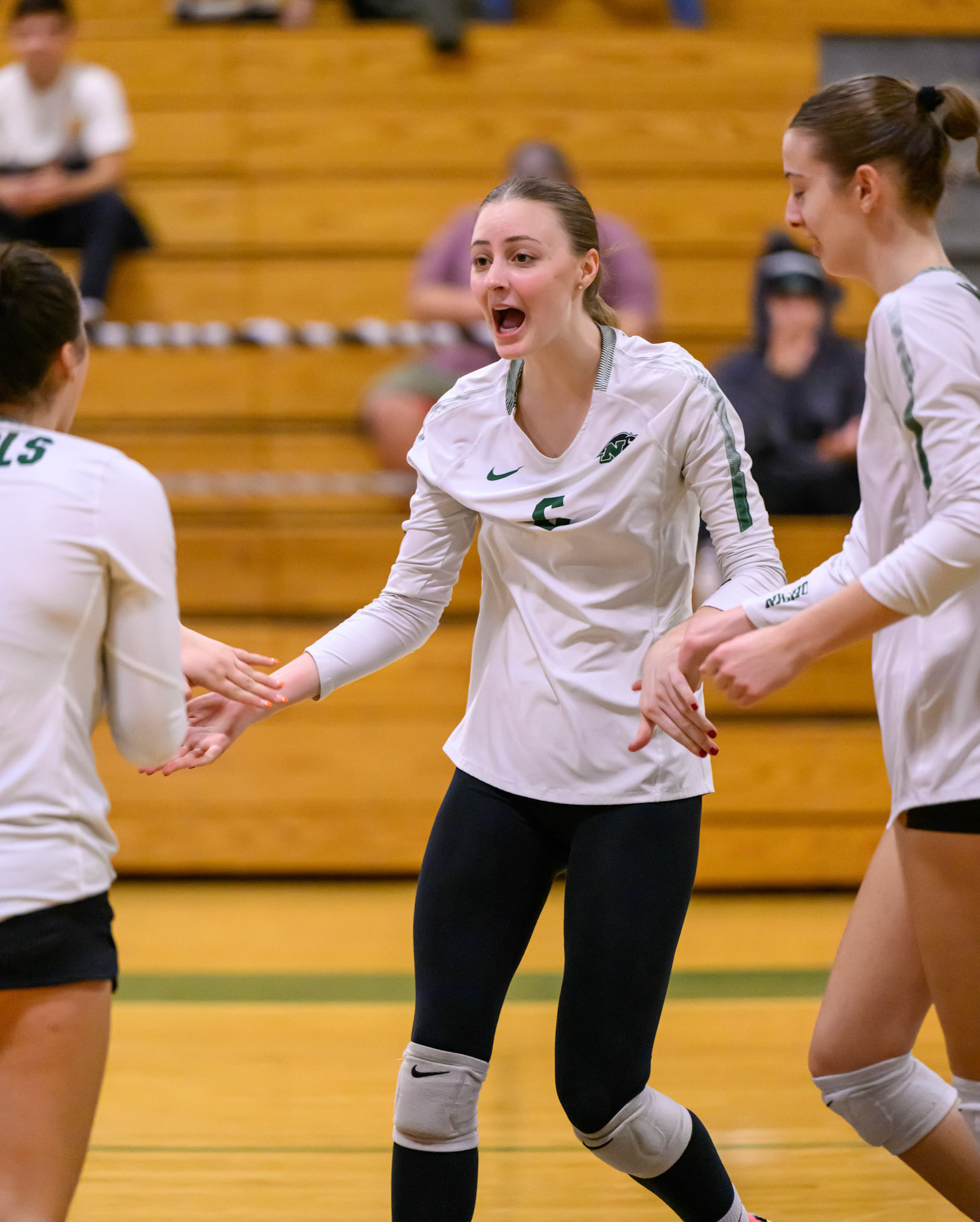 Nichols Volleyball