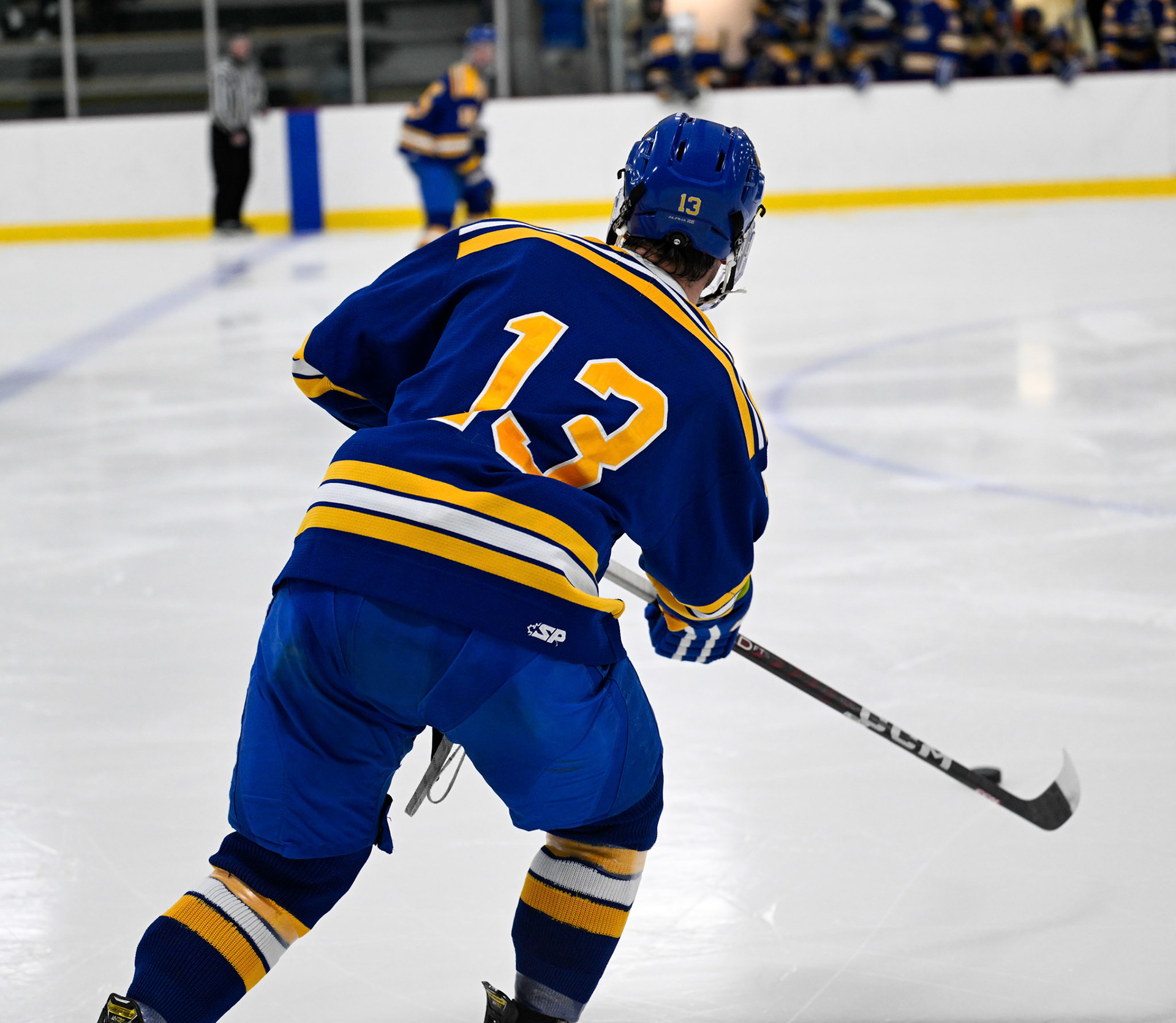 WSU Men's Ice Hockey