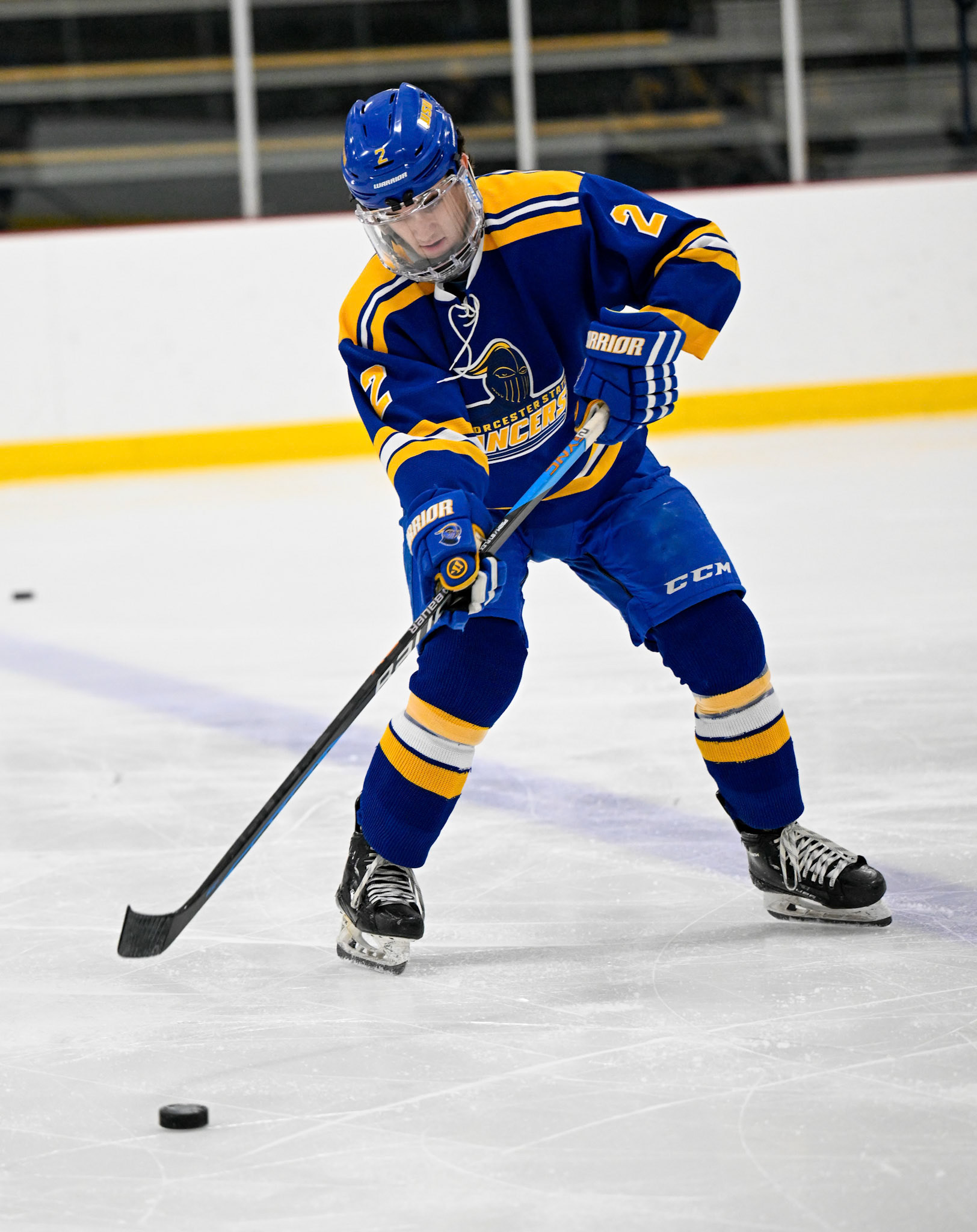 WSU Men's Ice Hockey