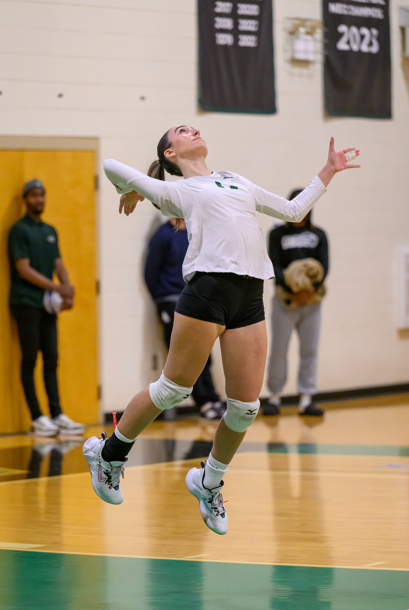 Nichols Volleyball