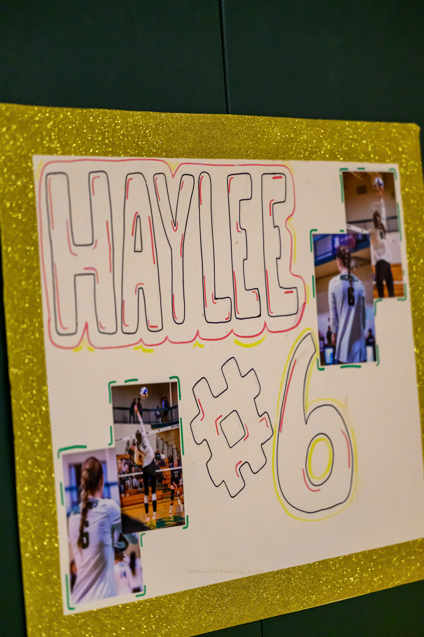 Nichols Volleyball