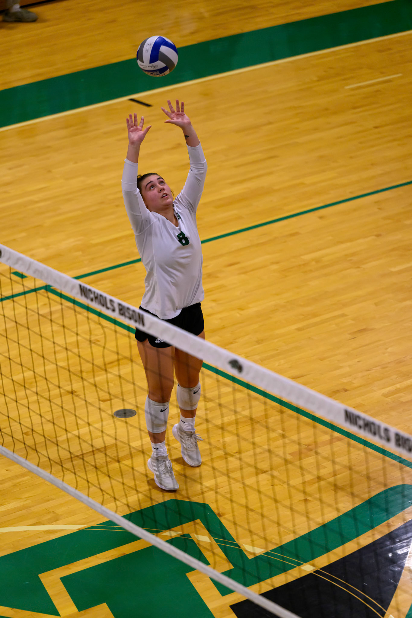 Nichols Volleyball