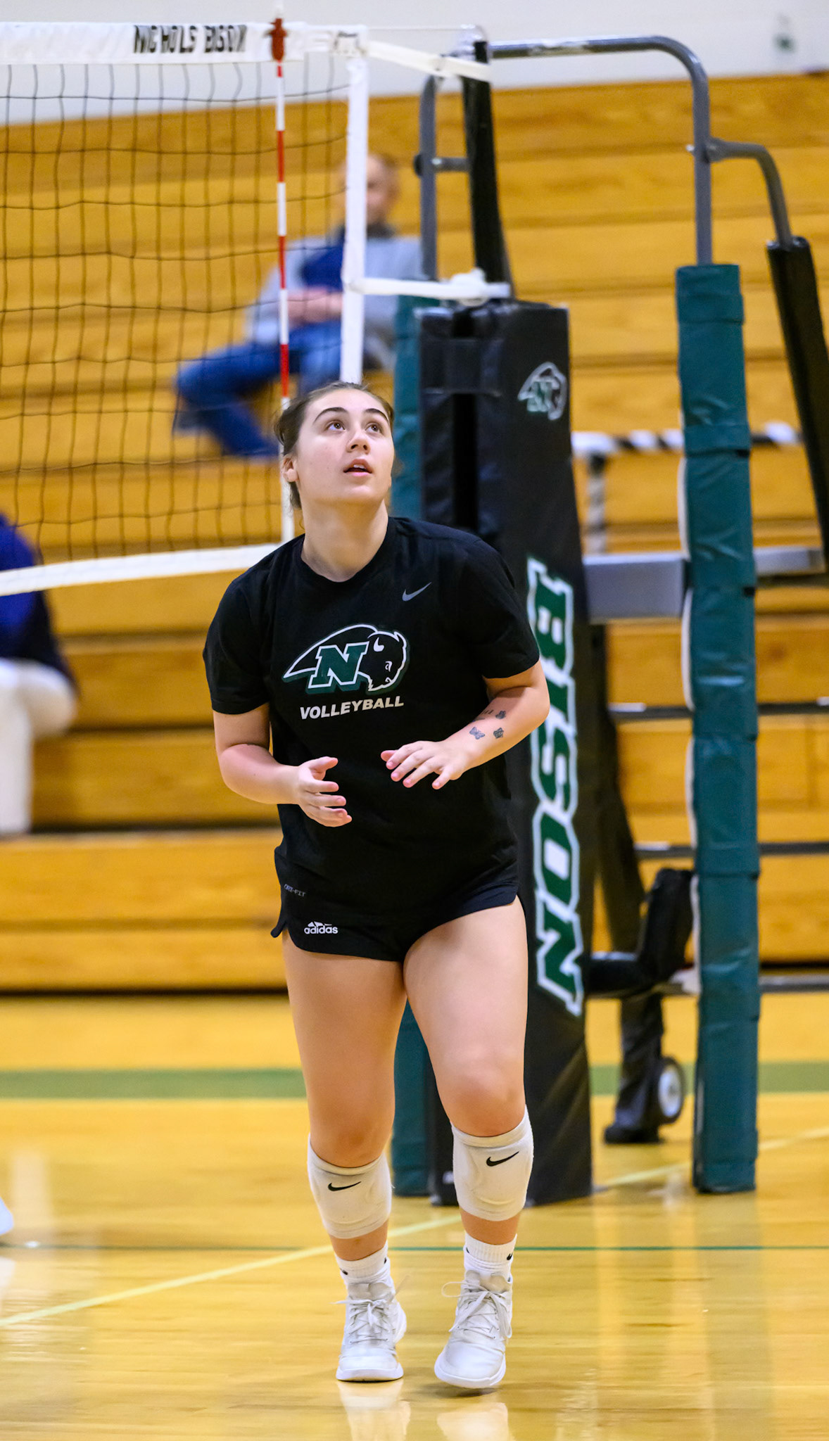 Nichols Volleyball