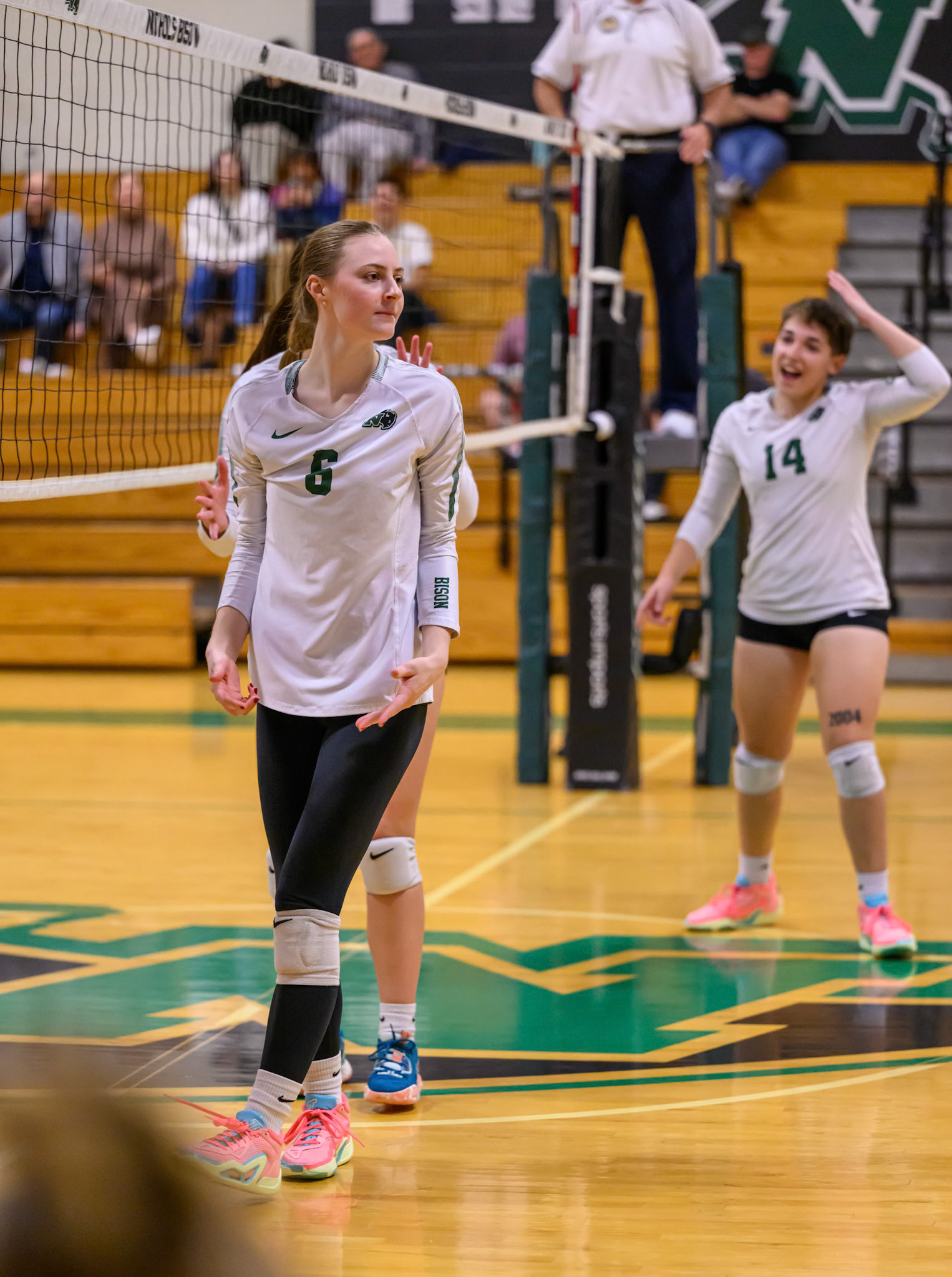 Nichols Volleyball