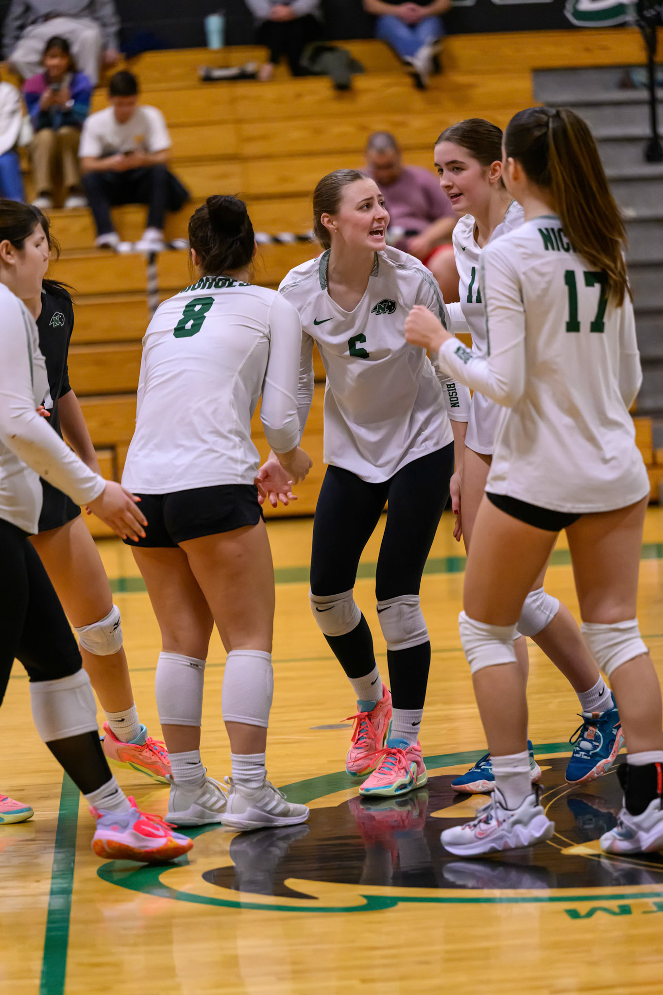Nichols Volleyball