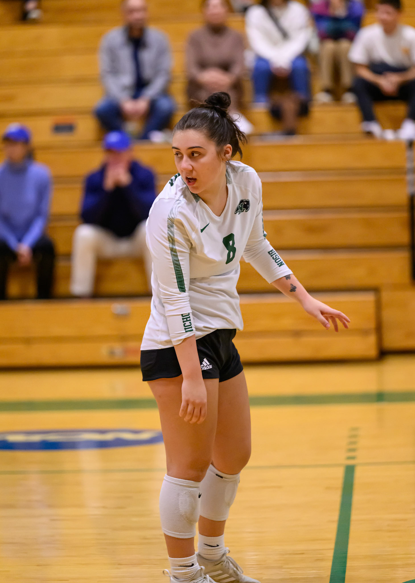Nichols Volleyball