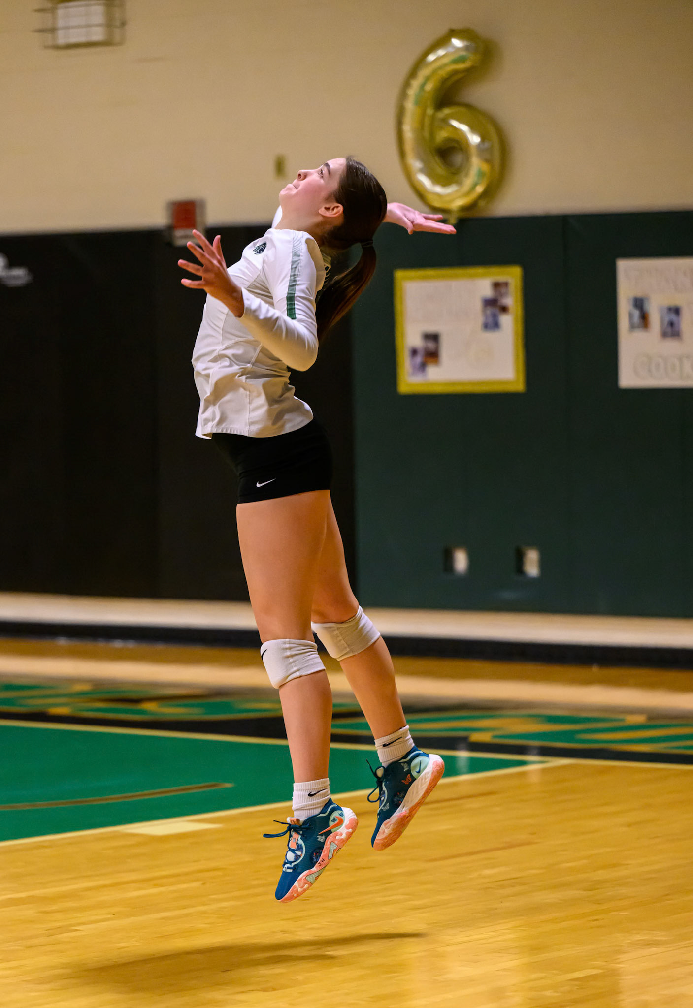 Nichols Volleyball