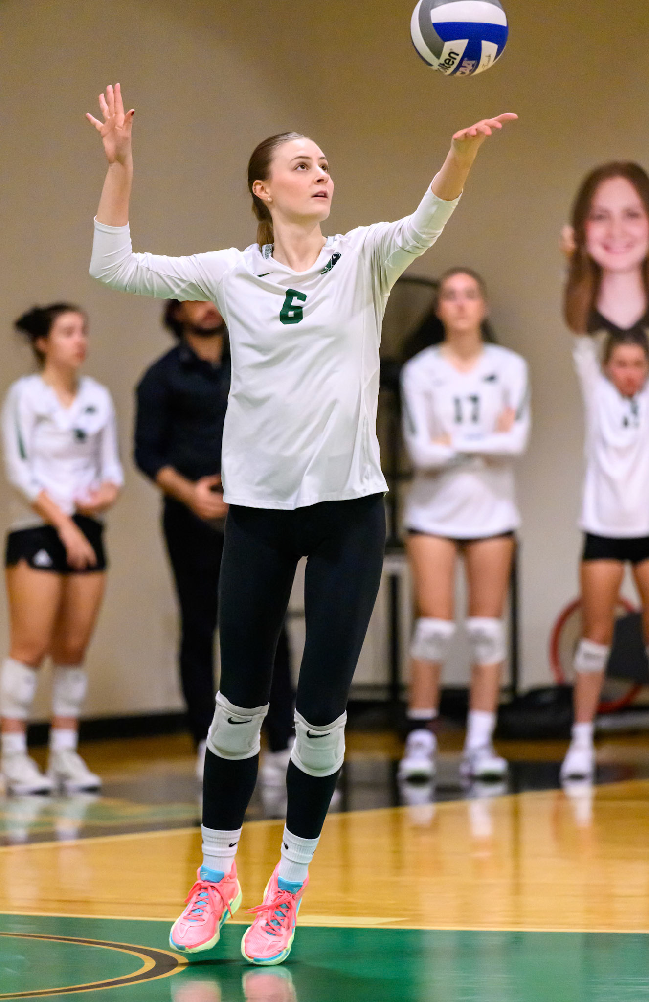 Nichols Volleyball