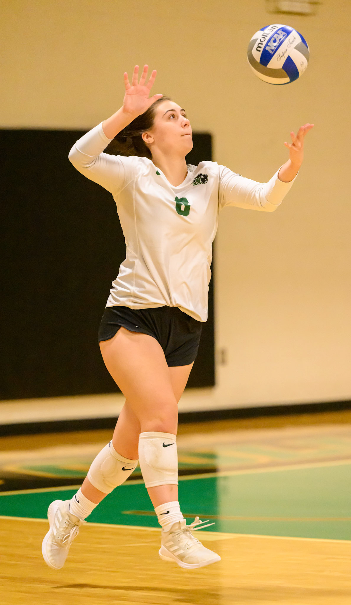 Nichols Volleyball