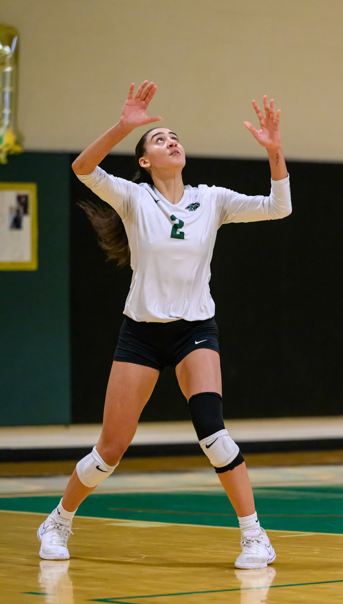 Nichols Volleyball