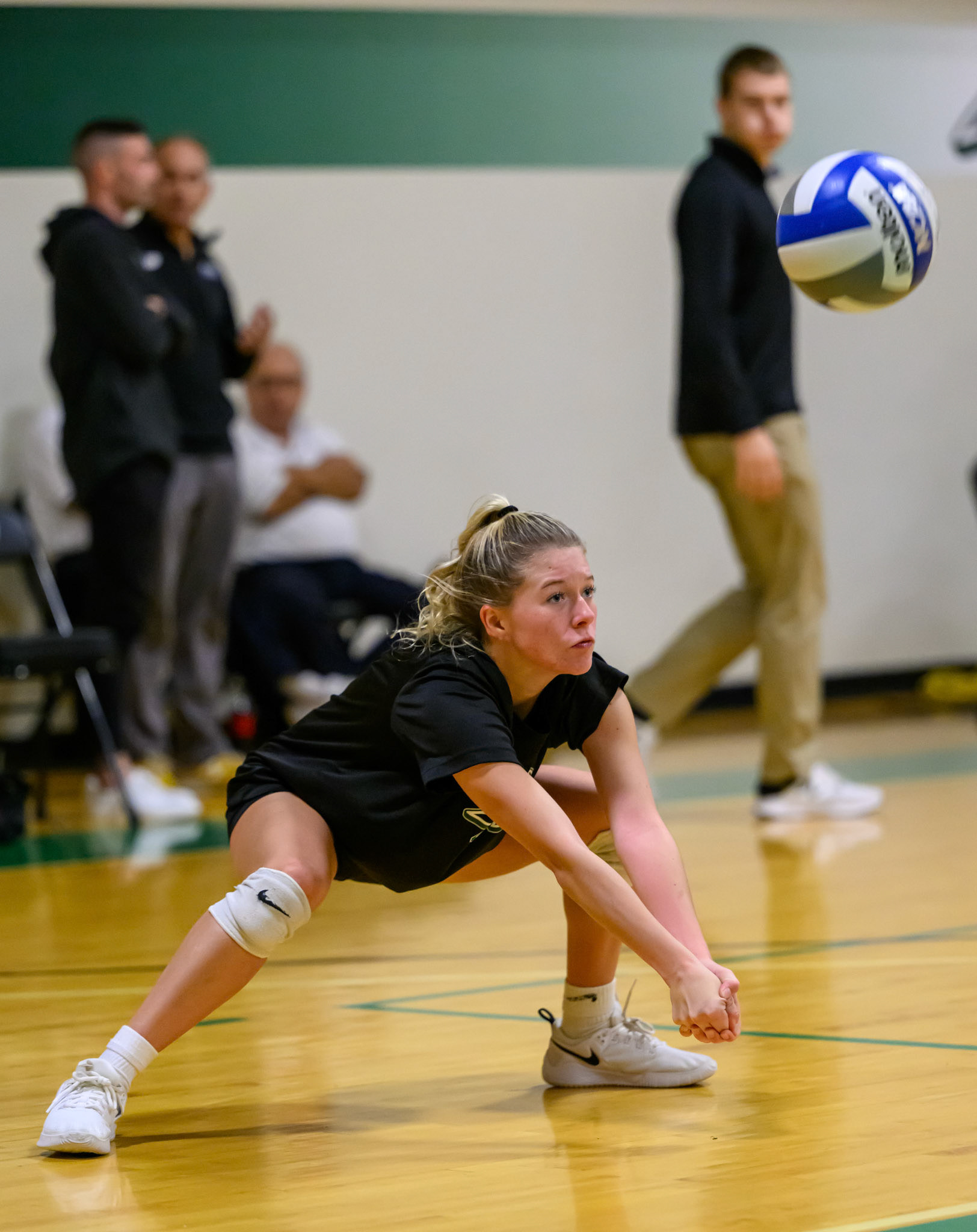 Nichols Volleyball