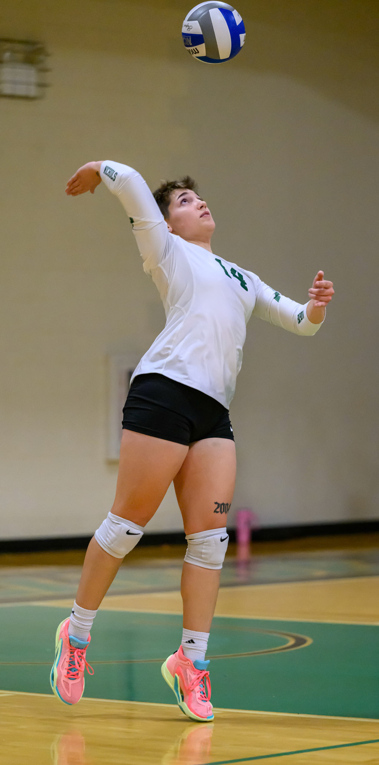 Nichols Volleyball