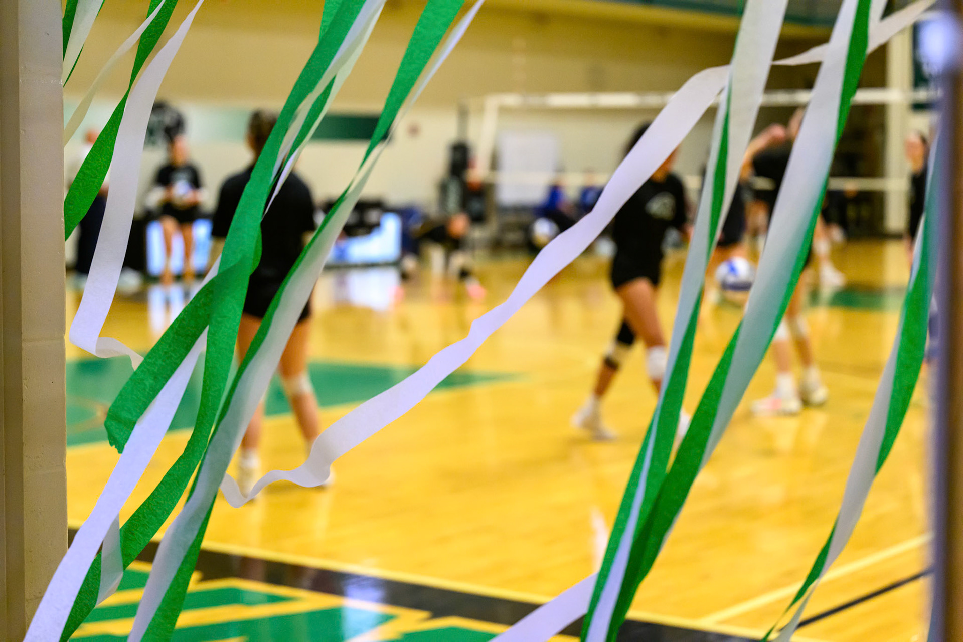 Nichols Volleyball