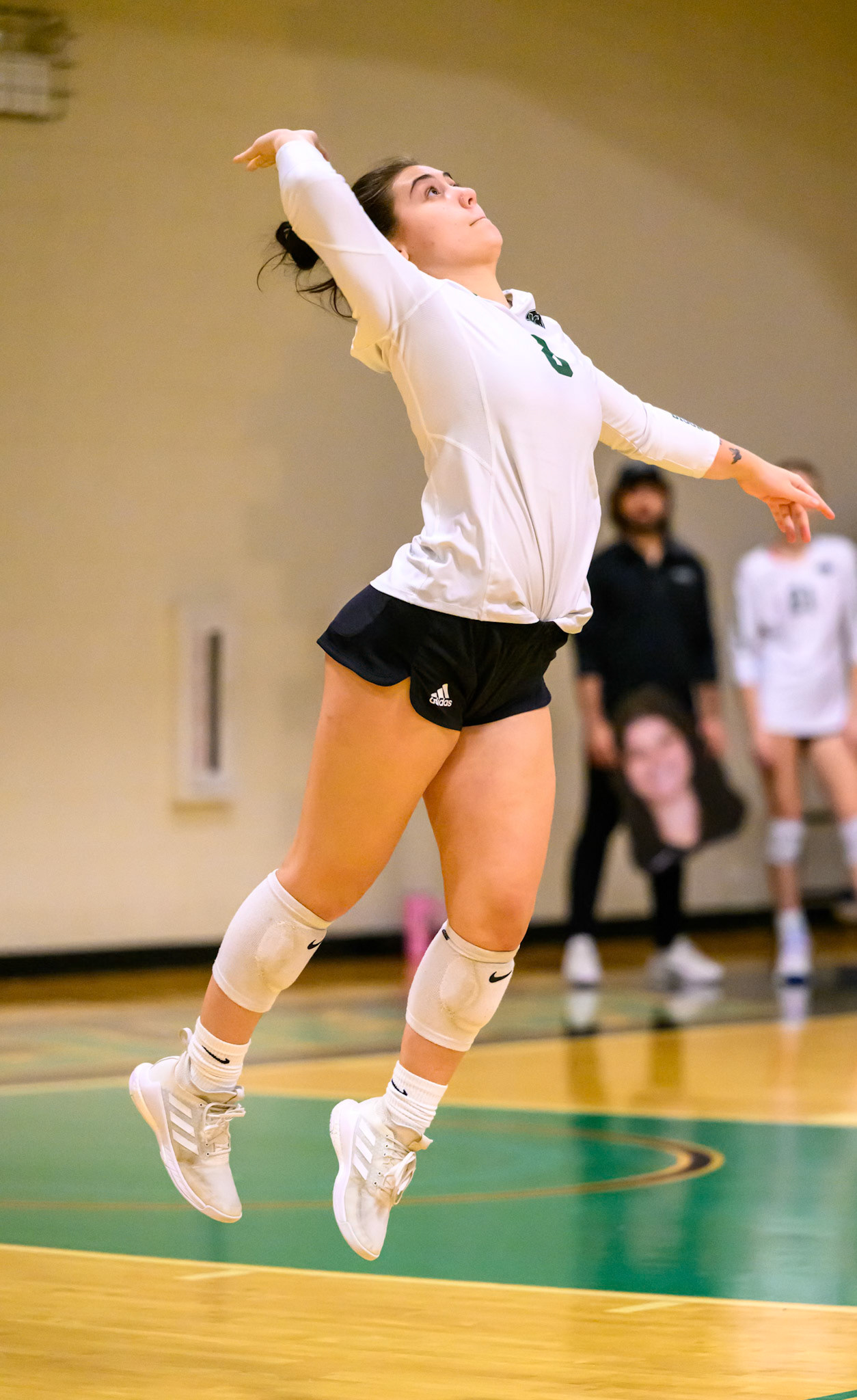 Nichols Volleyball