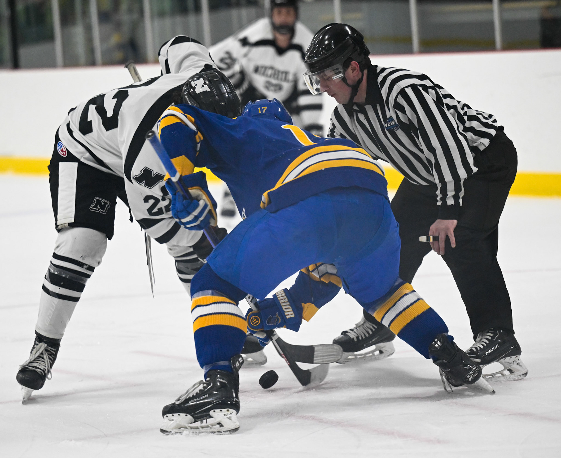 WSU Men's Ice Hockey