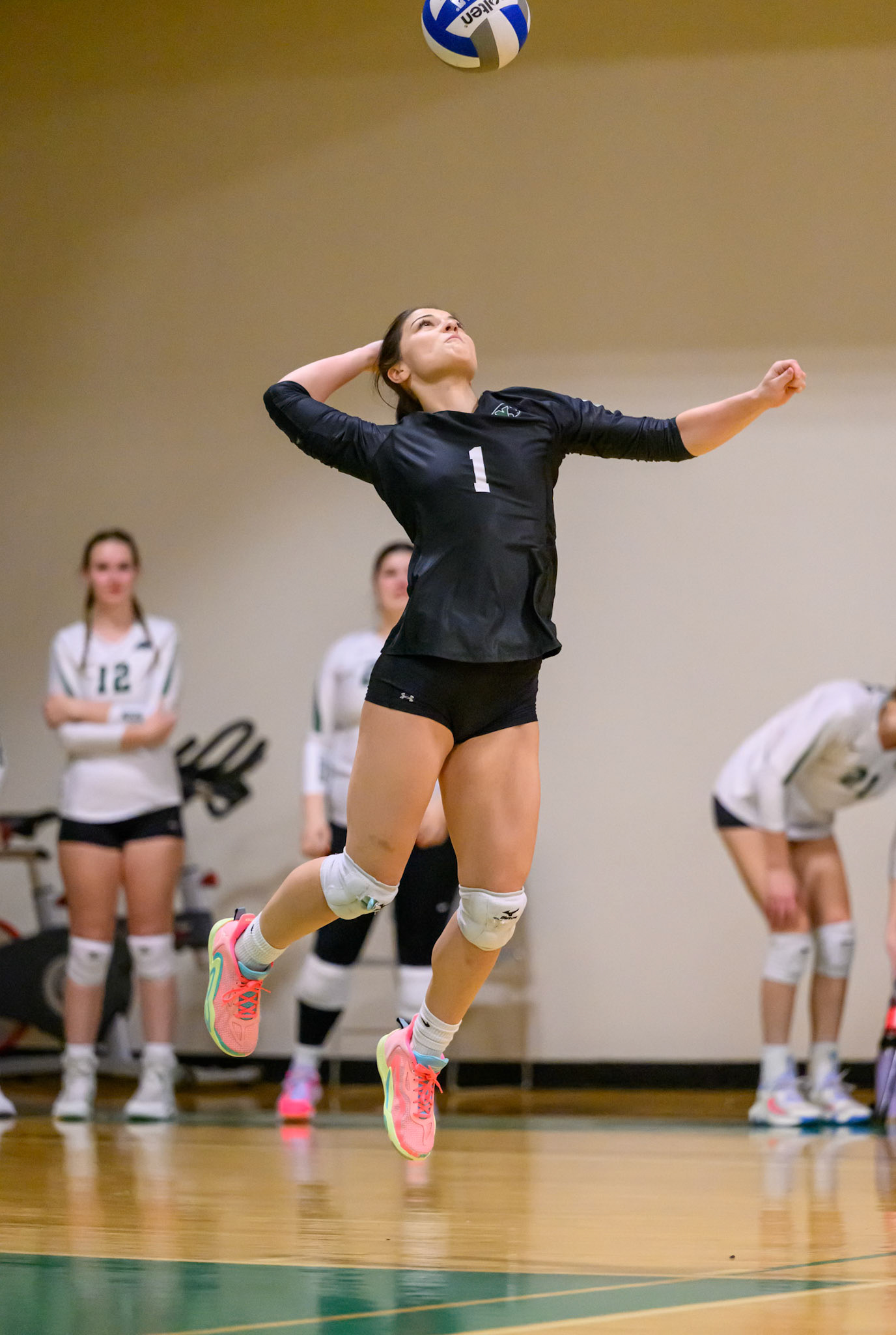 Nichols Volleyball