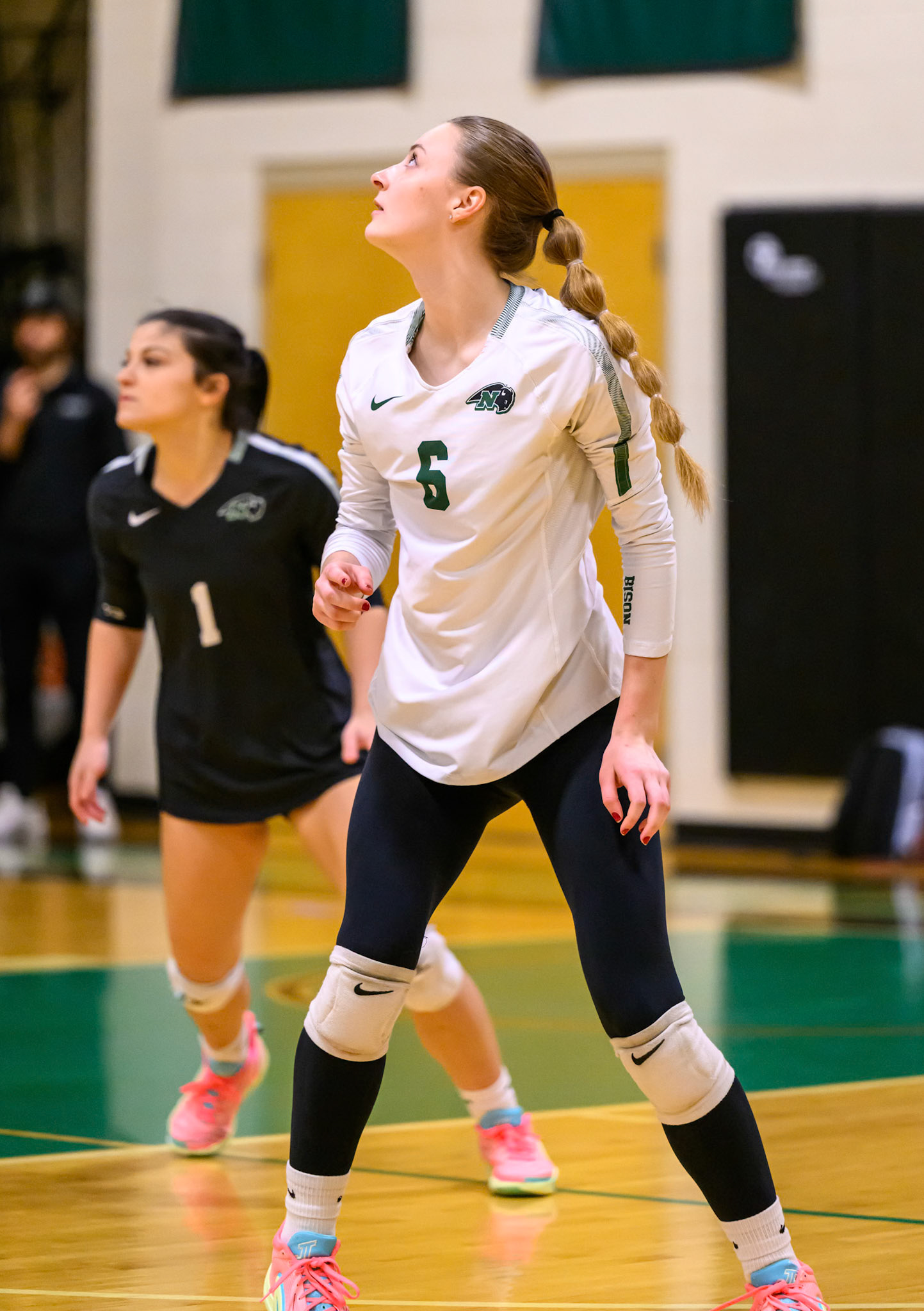 Nichols Volleyball