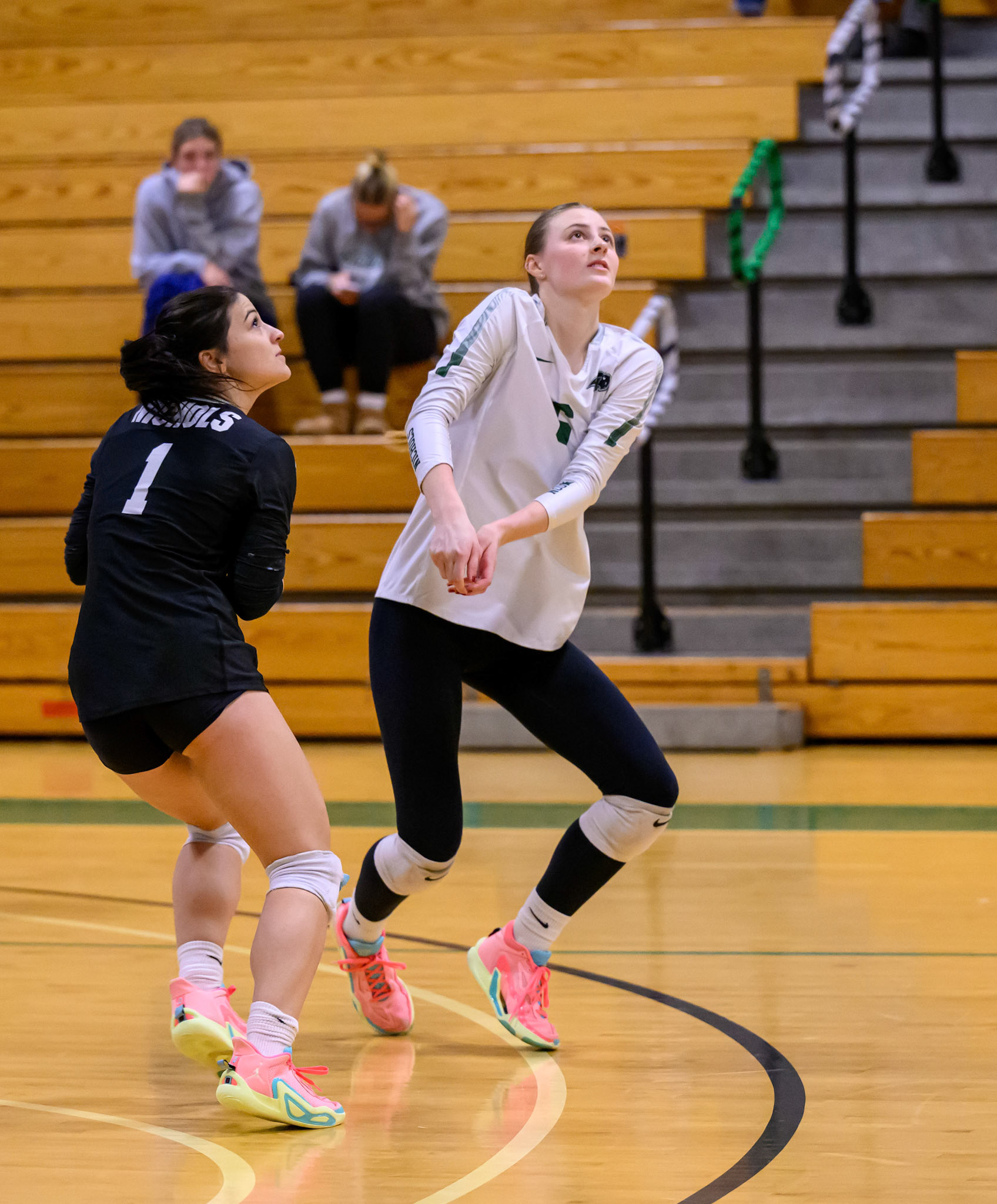 Nichols Volleyball