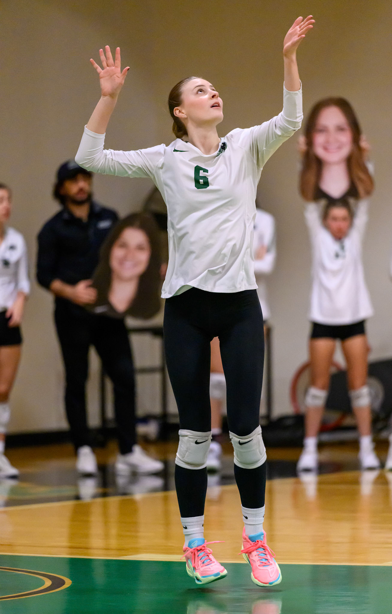 Nichols Volleyball